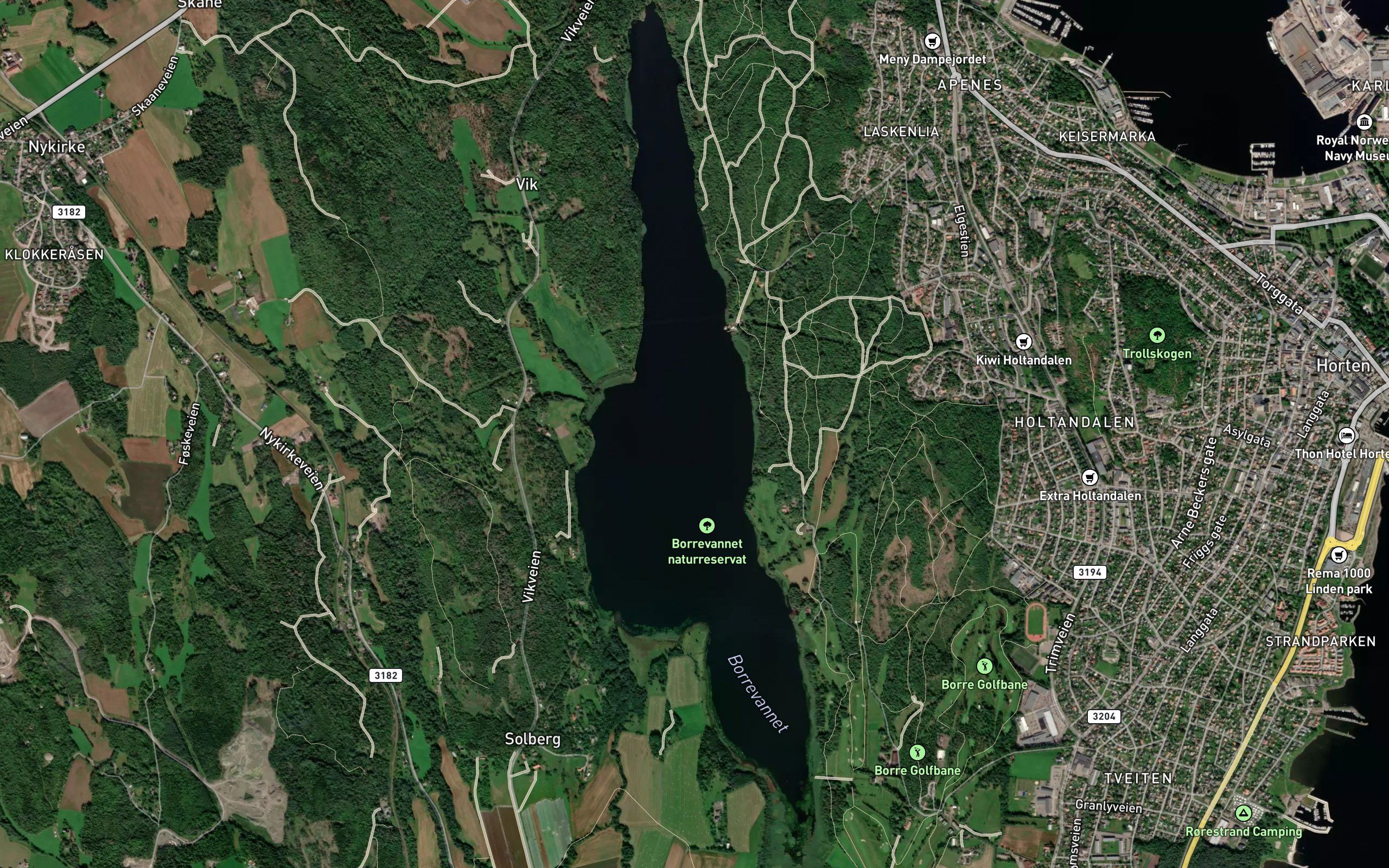 Borrevannet