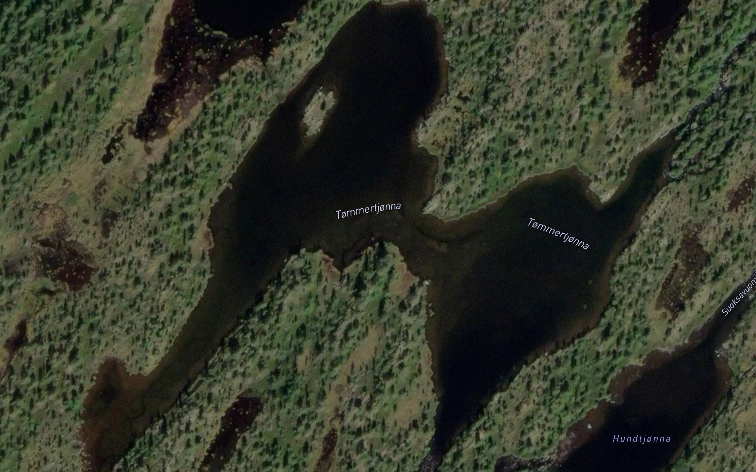 Tommertjonna