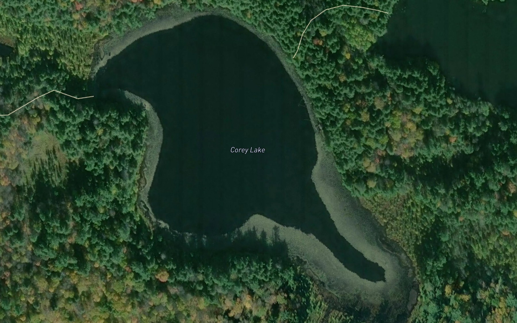 Satellite map of the Corey Lake