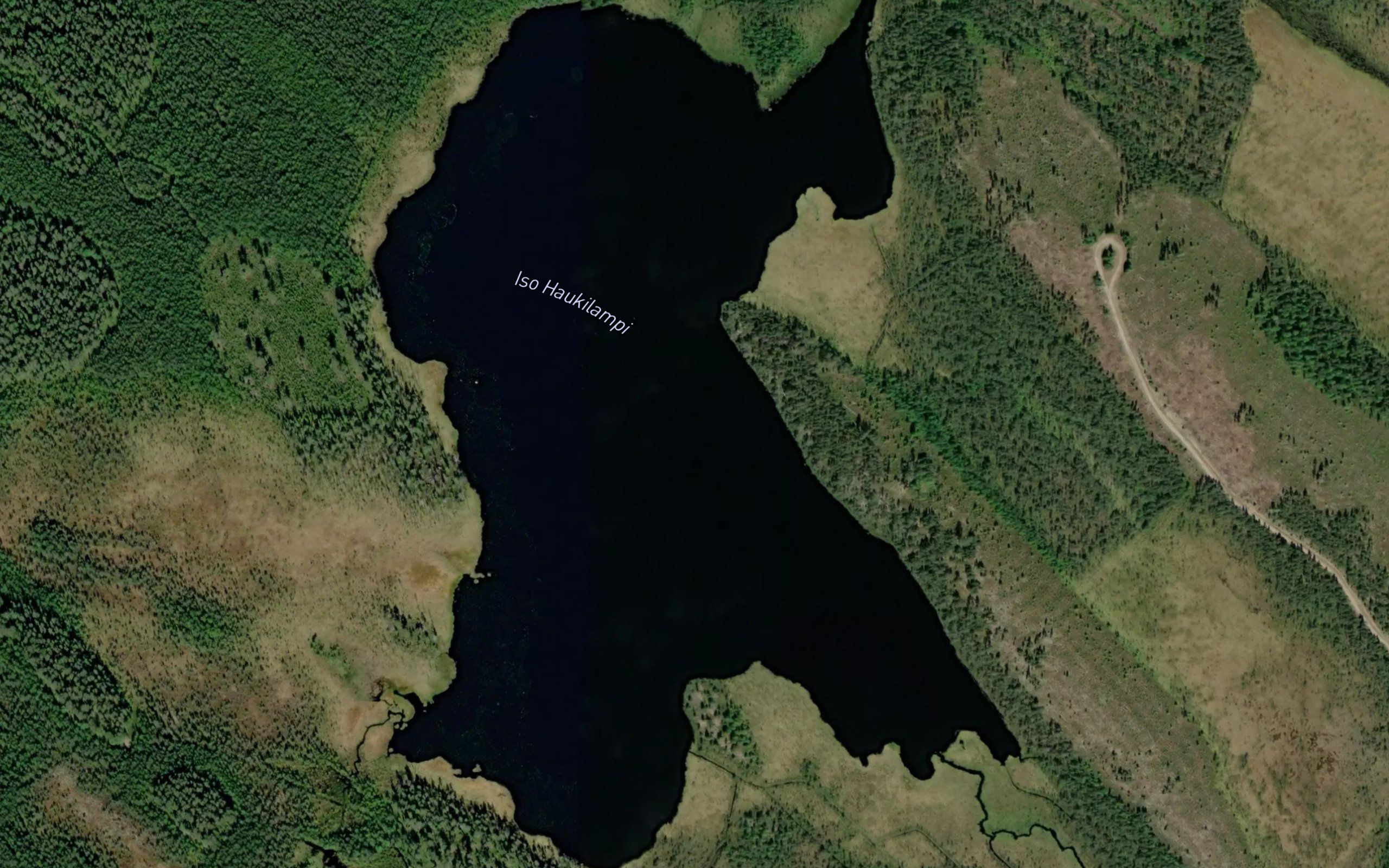 Iso Haukilampi