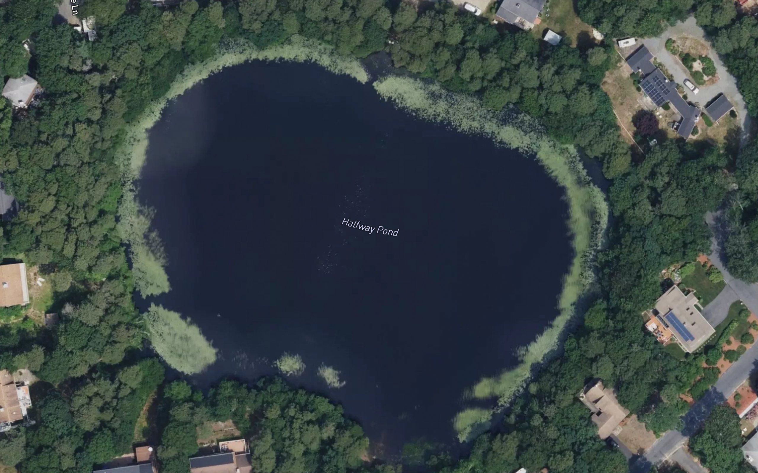 Halfway Pond