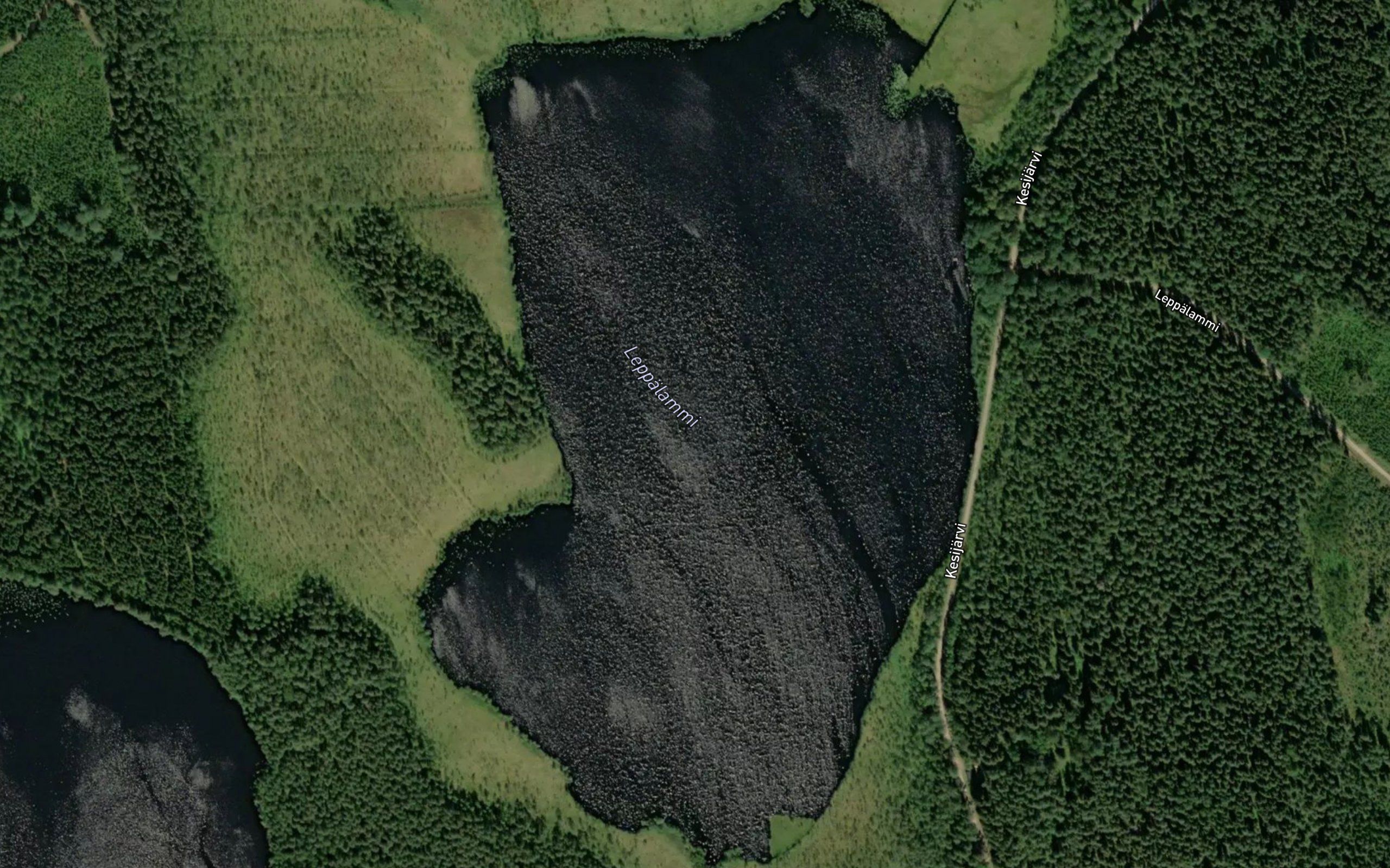 Leppalammi
