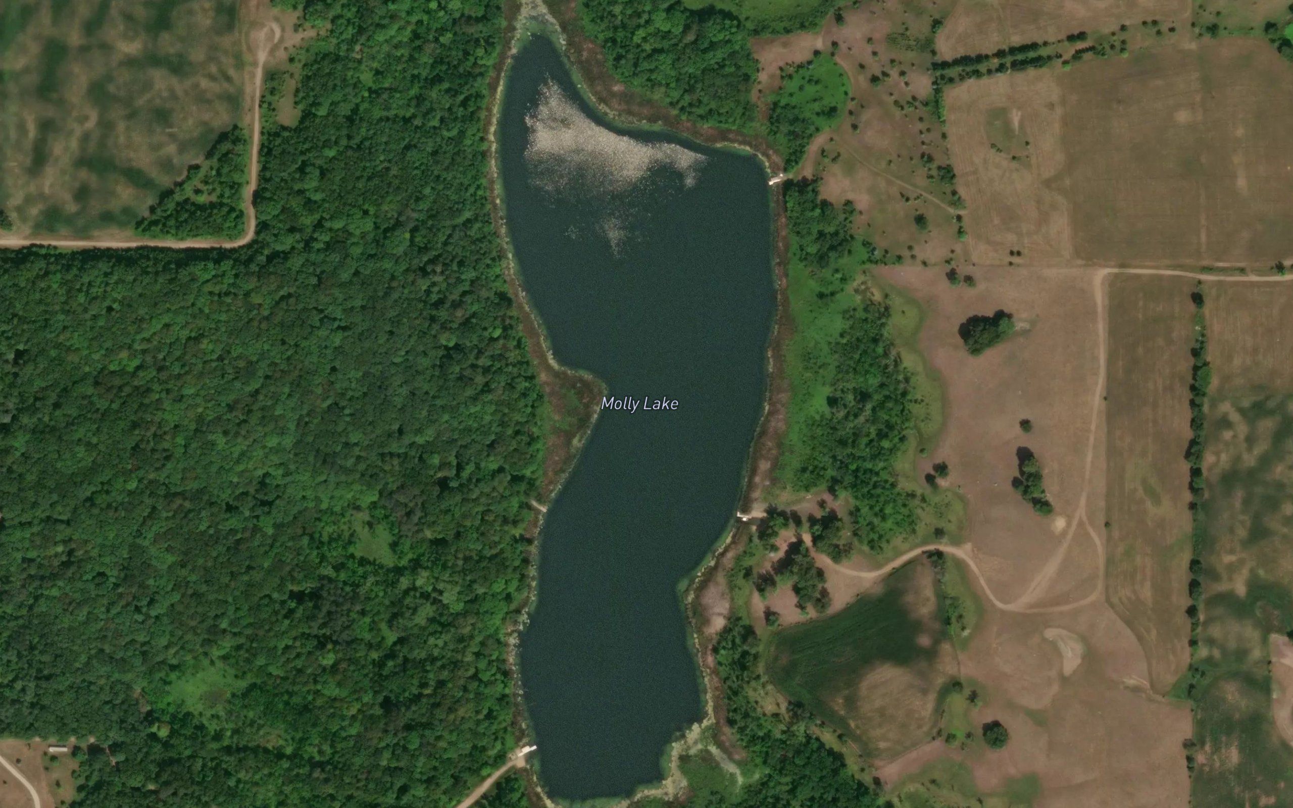 Molly Lake