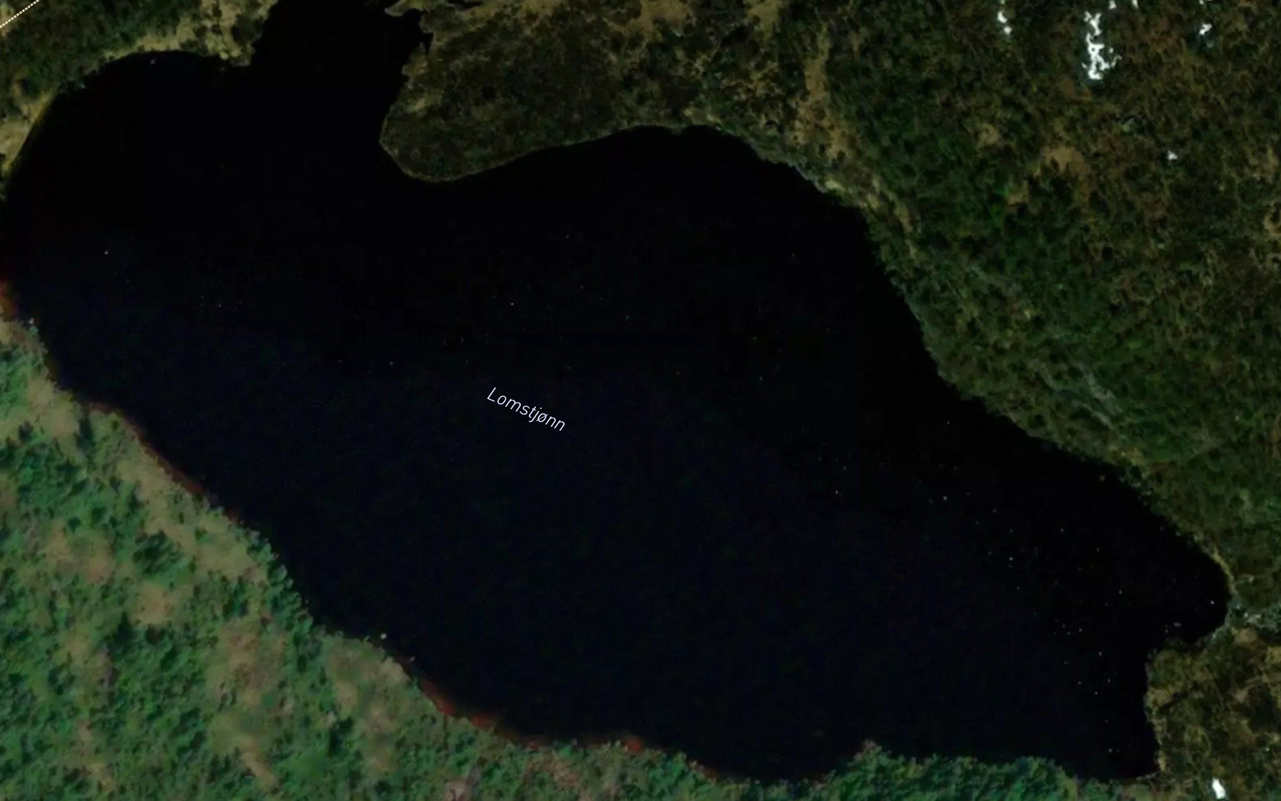 Lomstjorn