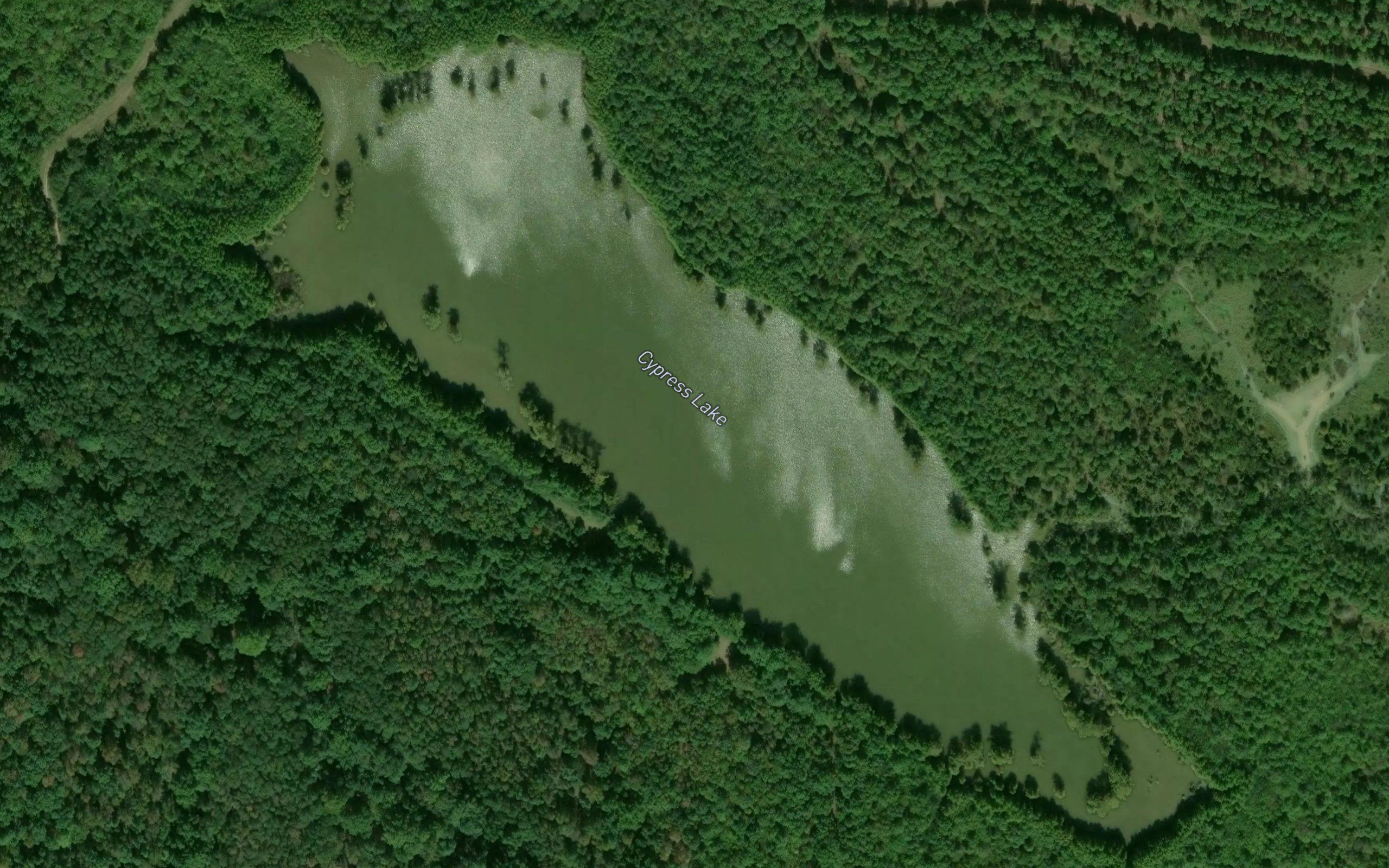 Cypress Lake