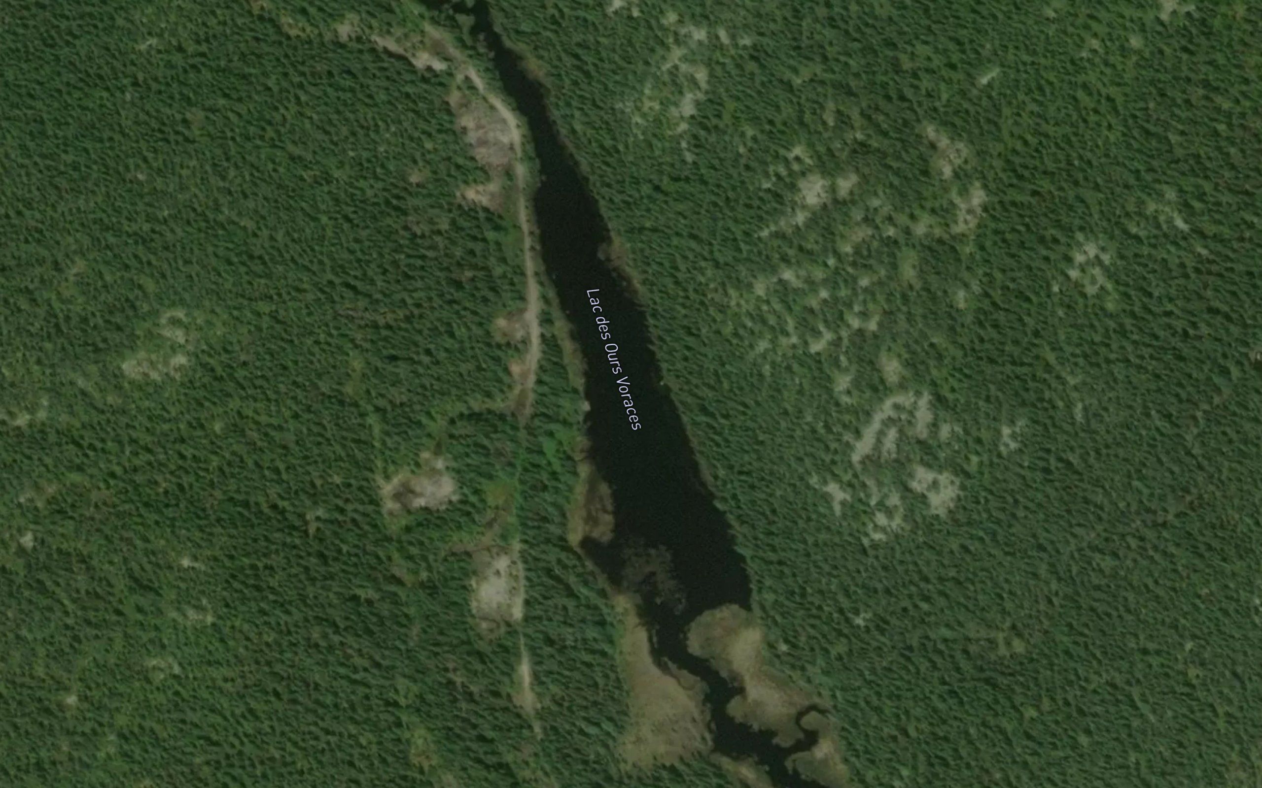 Lac des Ours Voraces