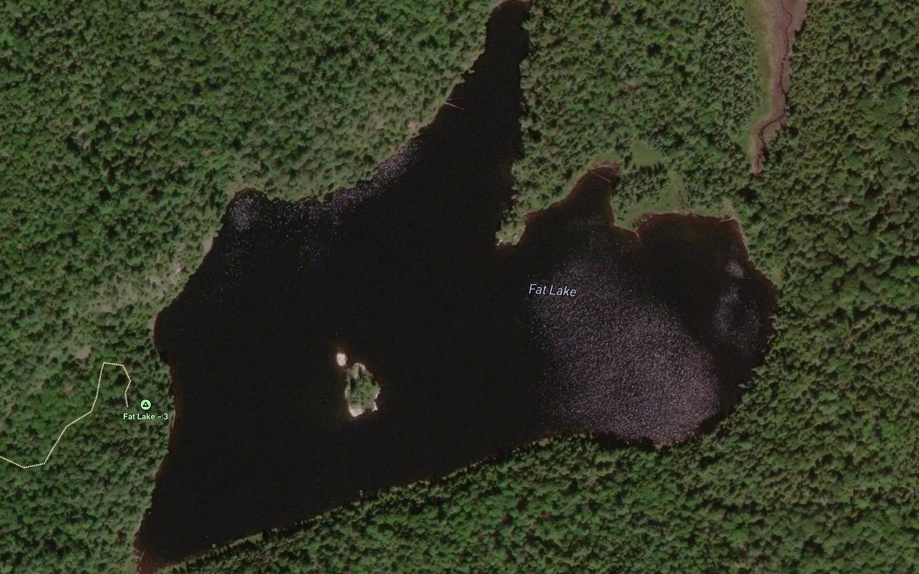 Satellite map of the Fat Lake