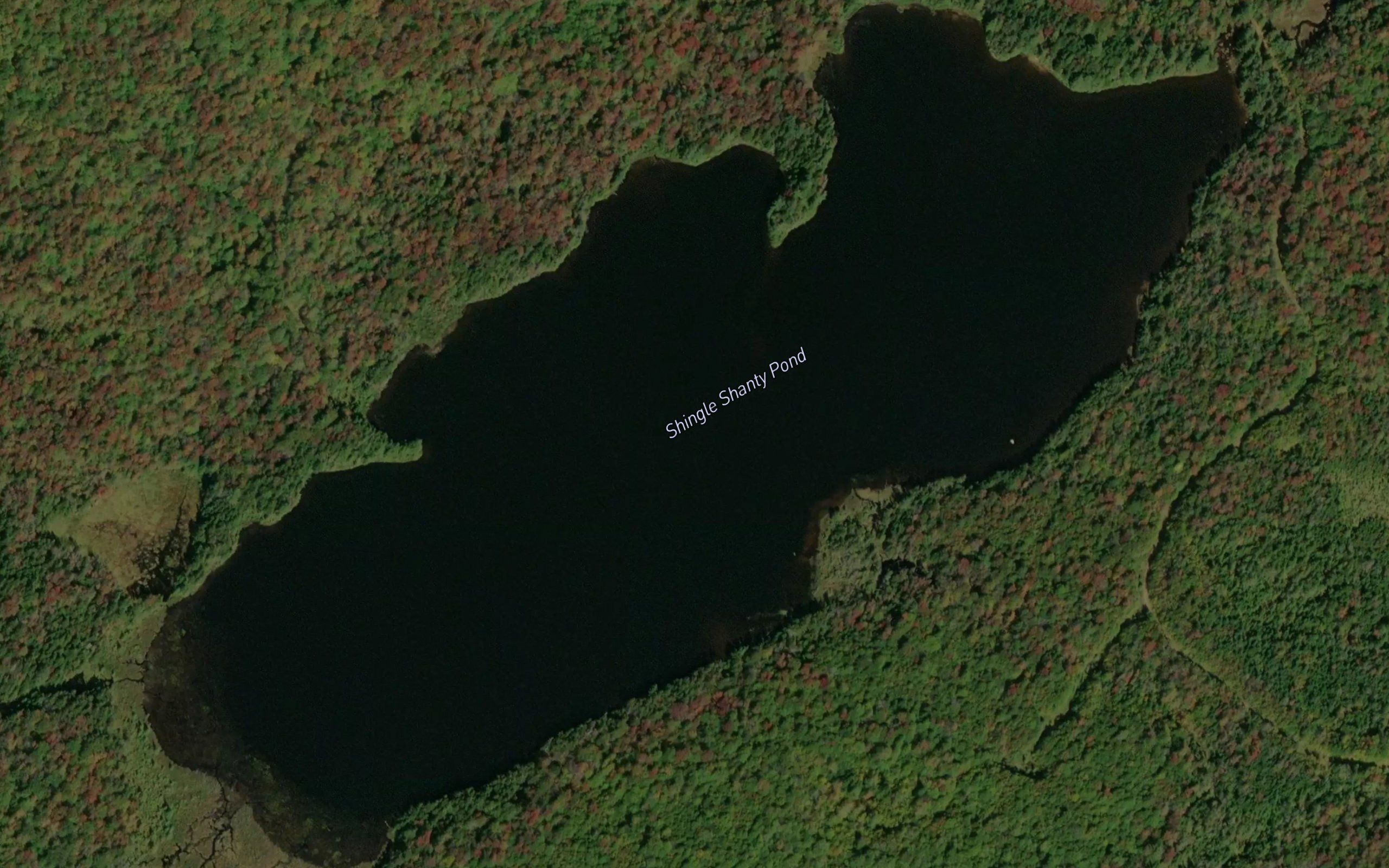 Shingle Shanty Pond