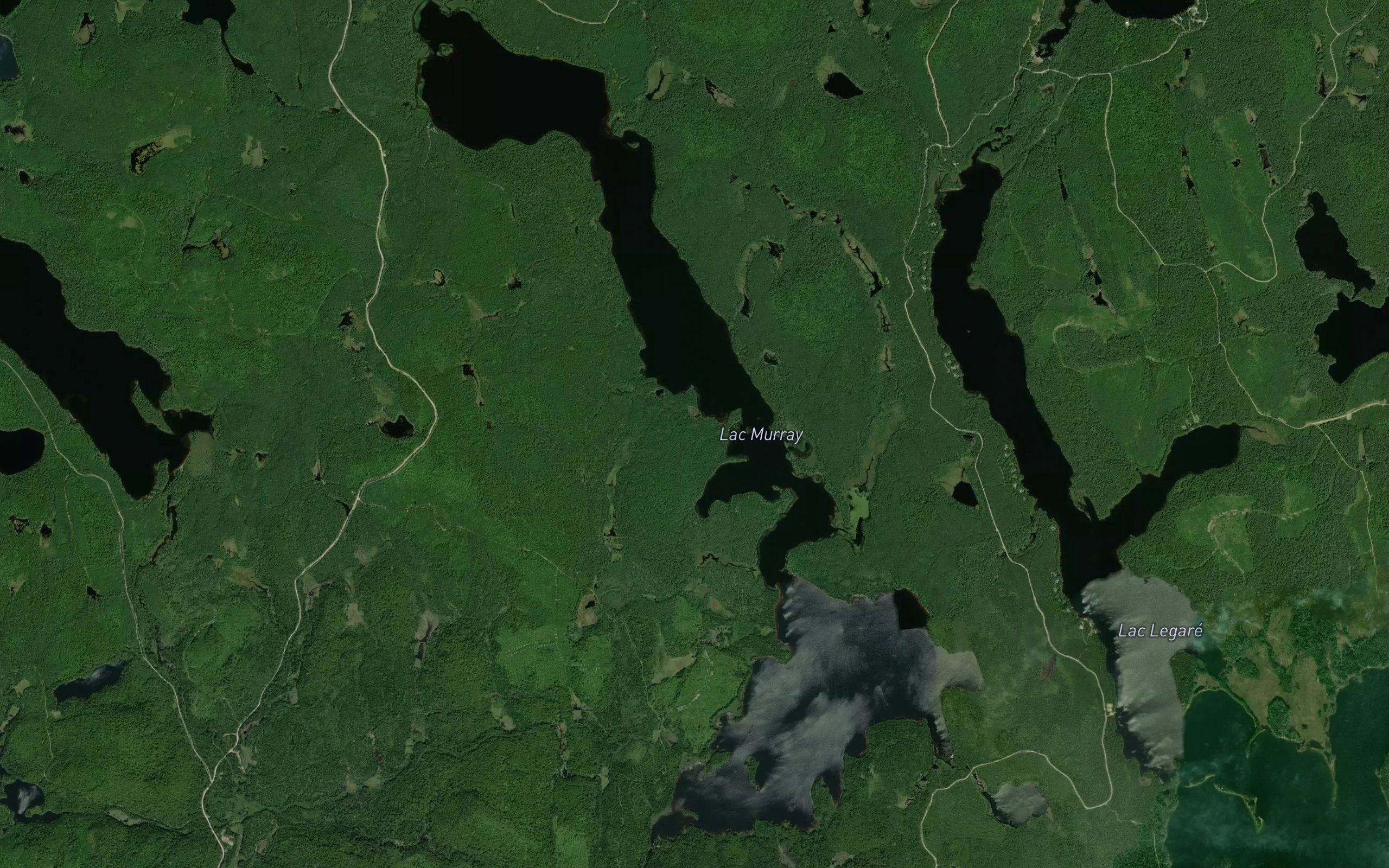 Lac Murray