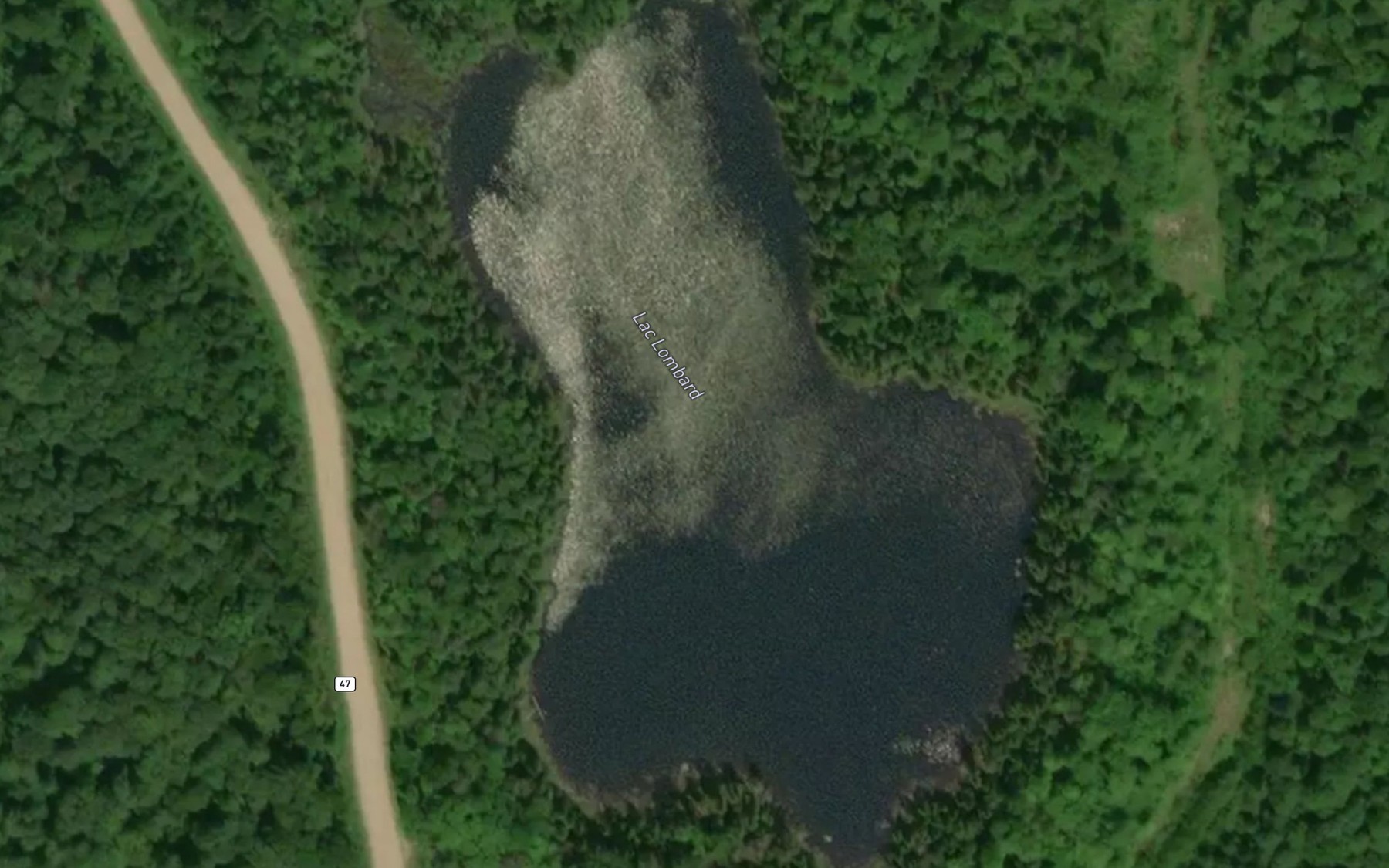 Satellite map of the Lac Lombard