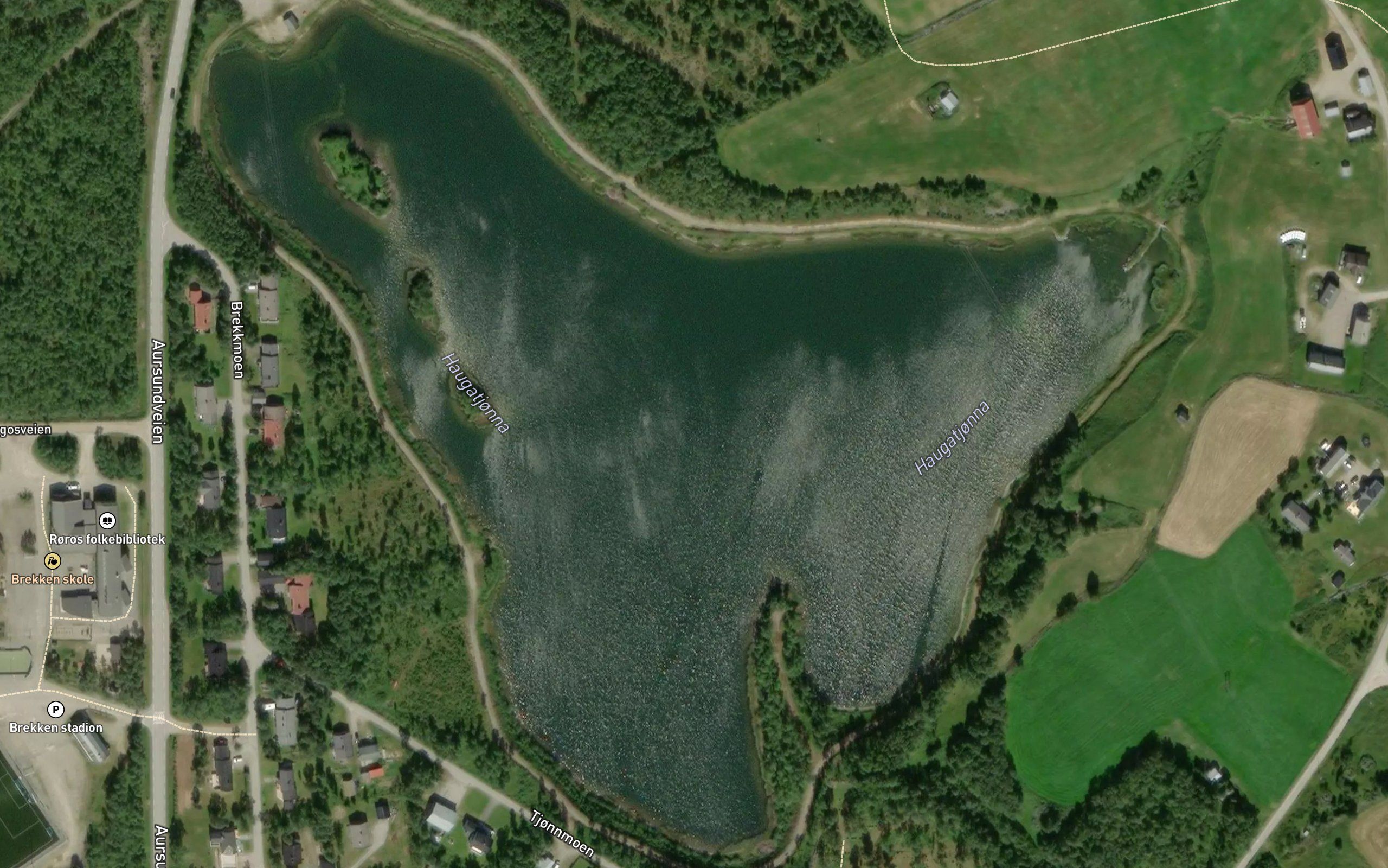 Haugatjorna