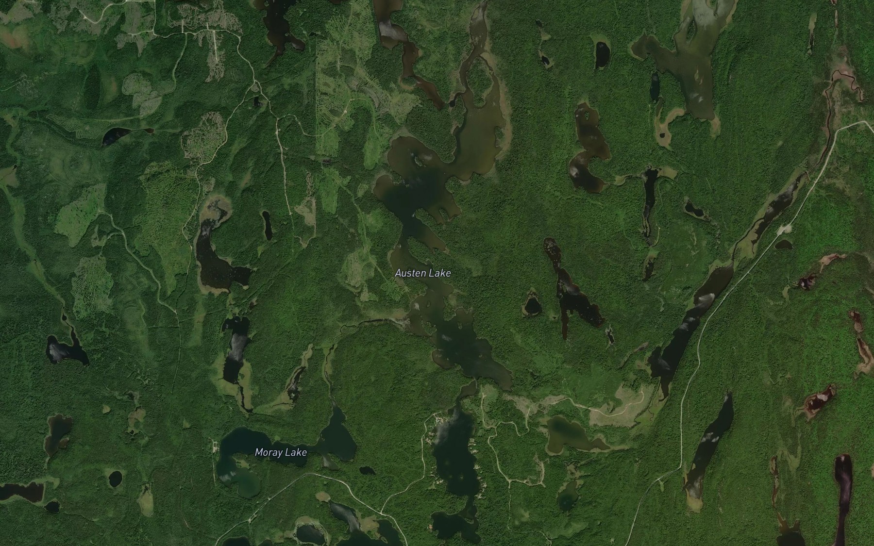 Satellite map of the Austen Lake