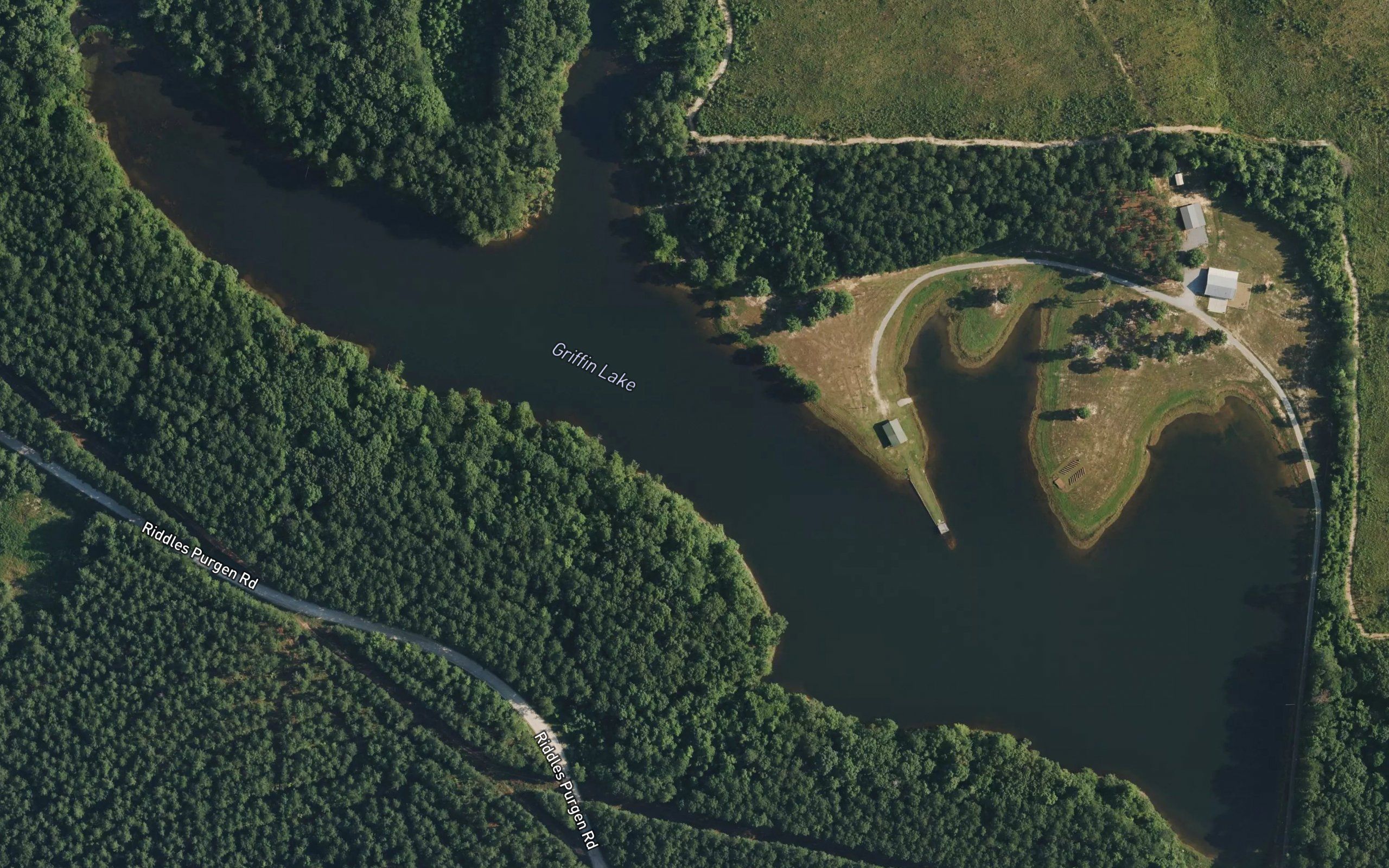 Griffin Lake