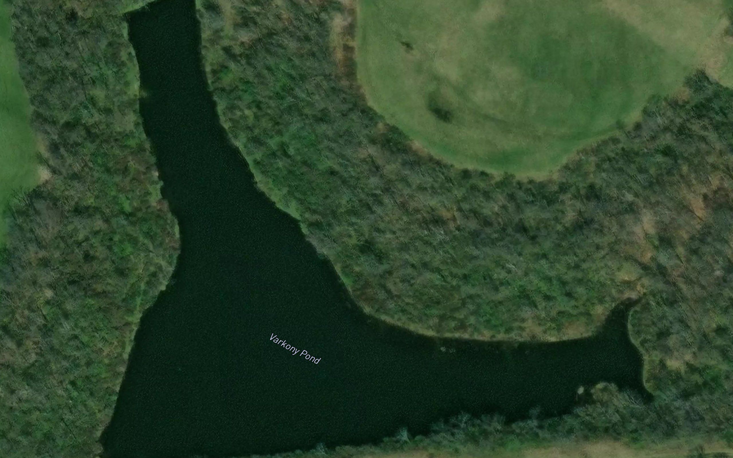 Consolidation Coal Company Pond 0207-