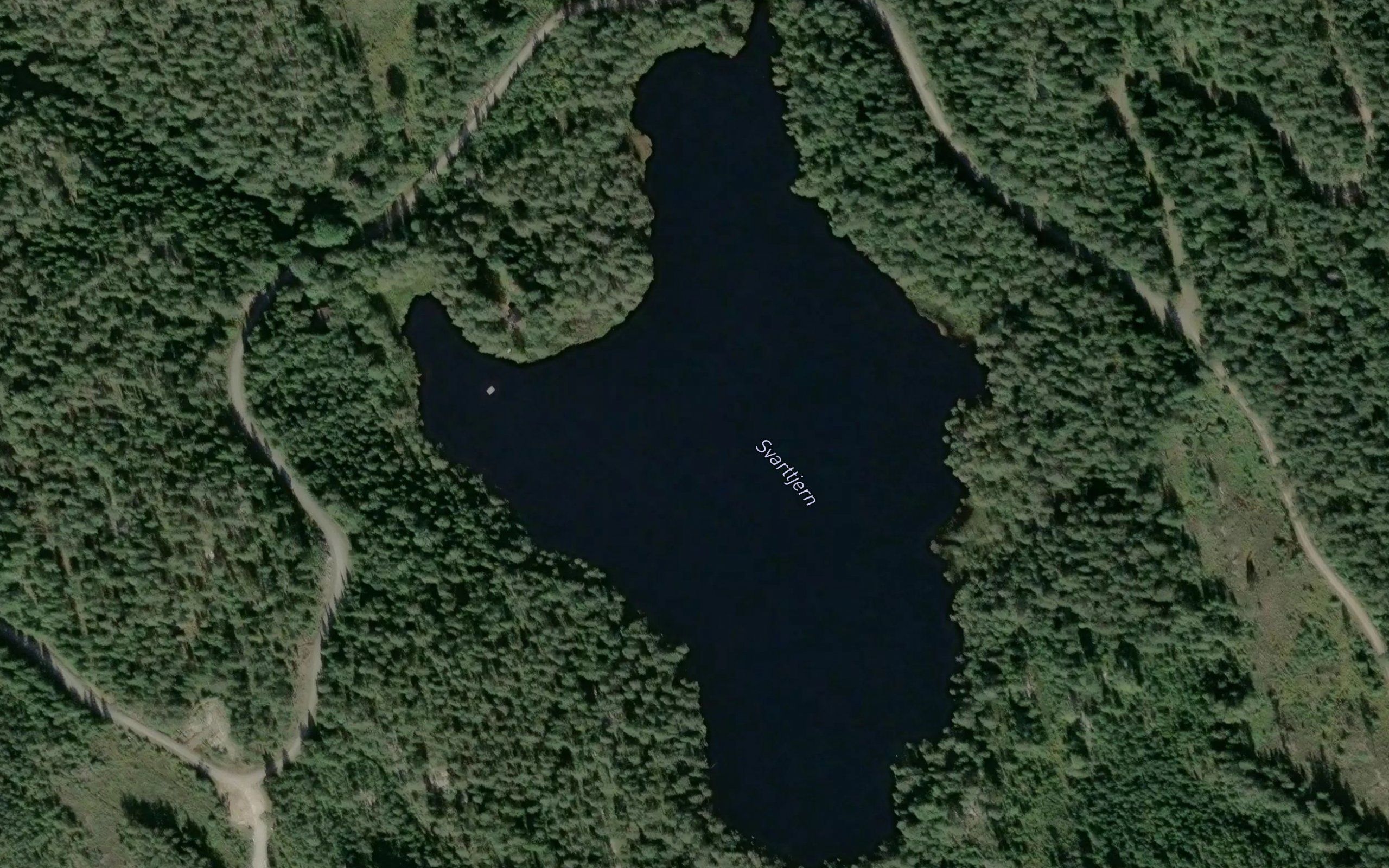 Svarttjernet