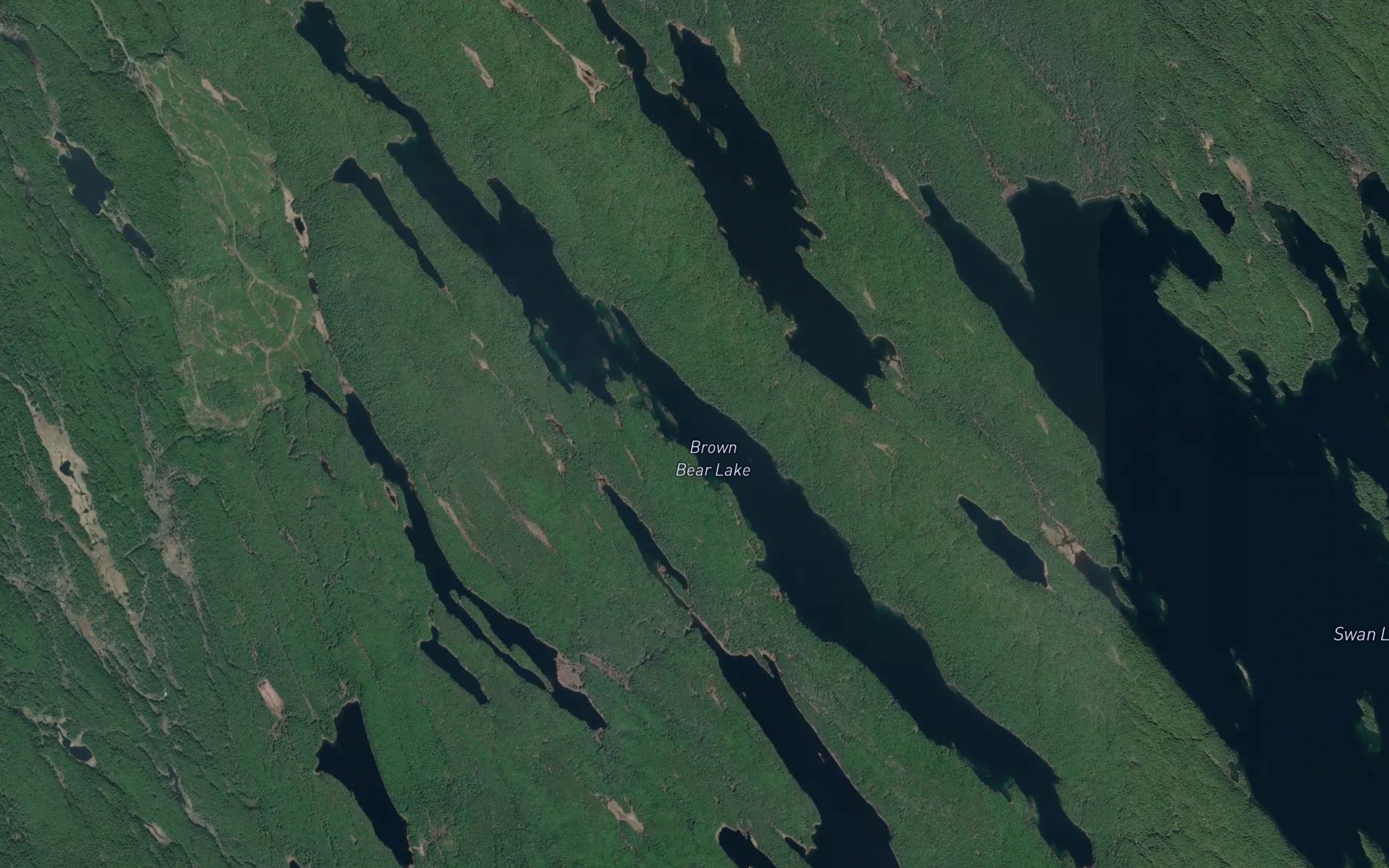 Brown Bear Lake
