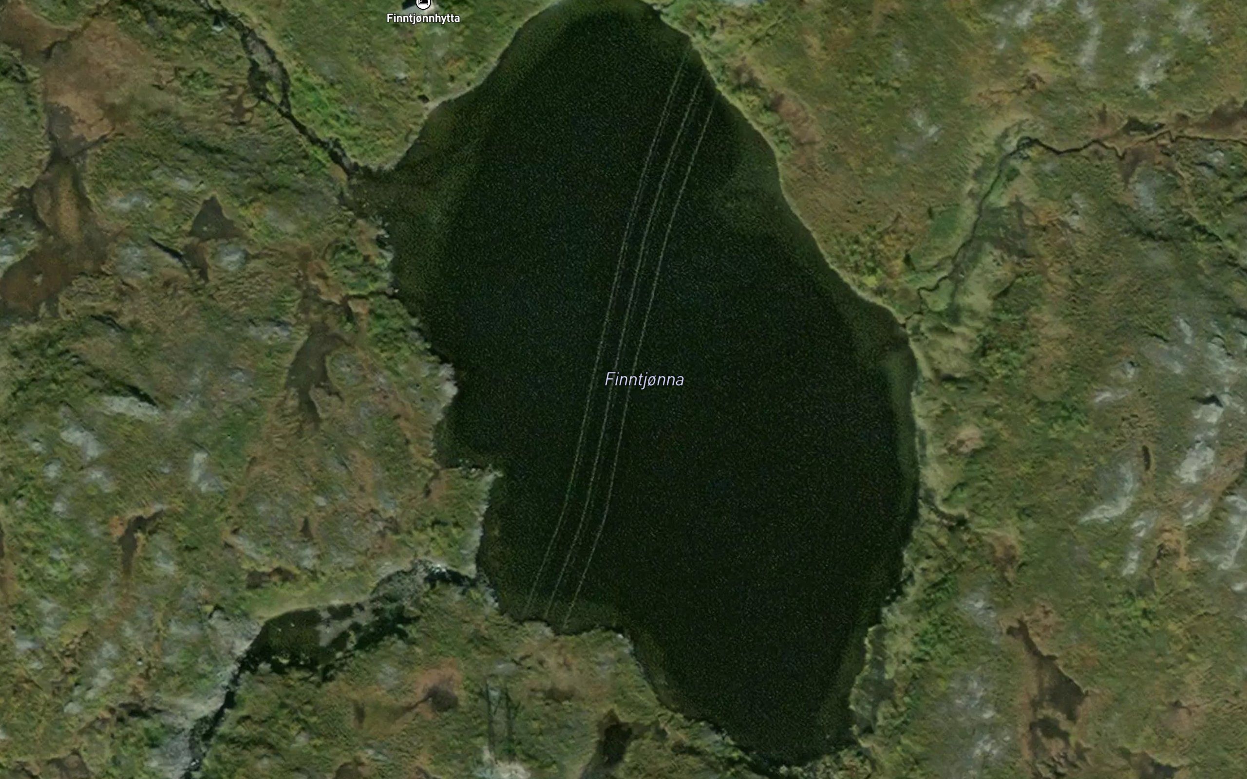Finntjorna