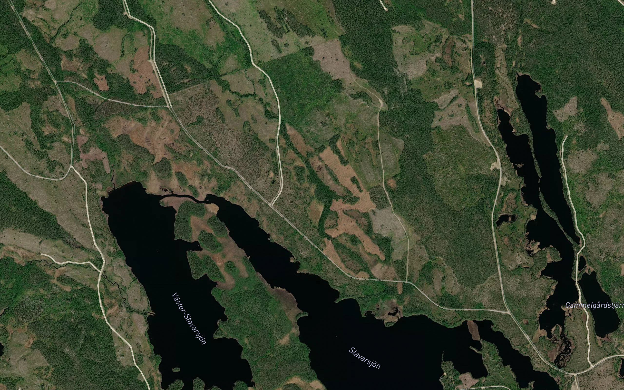Stavarsjon