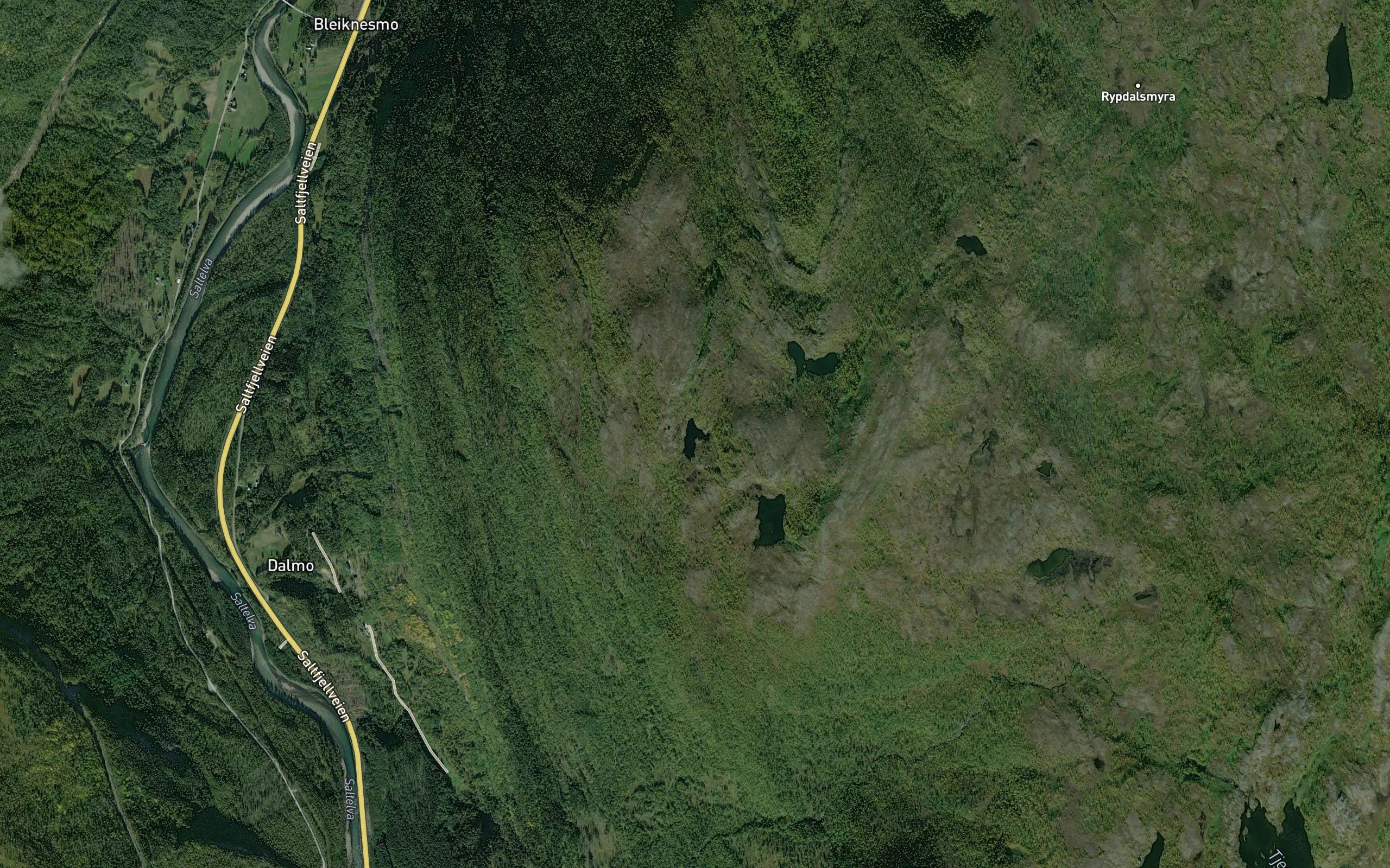 Slettfjelltjornan