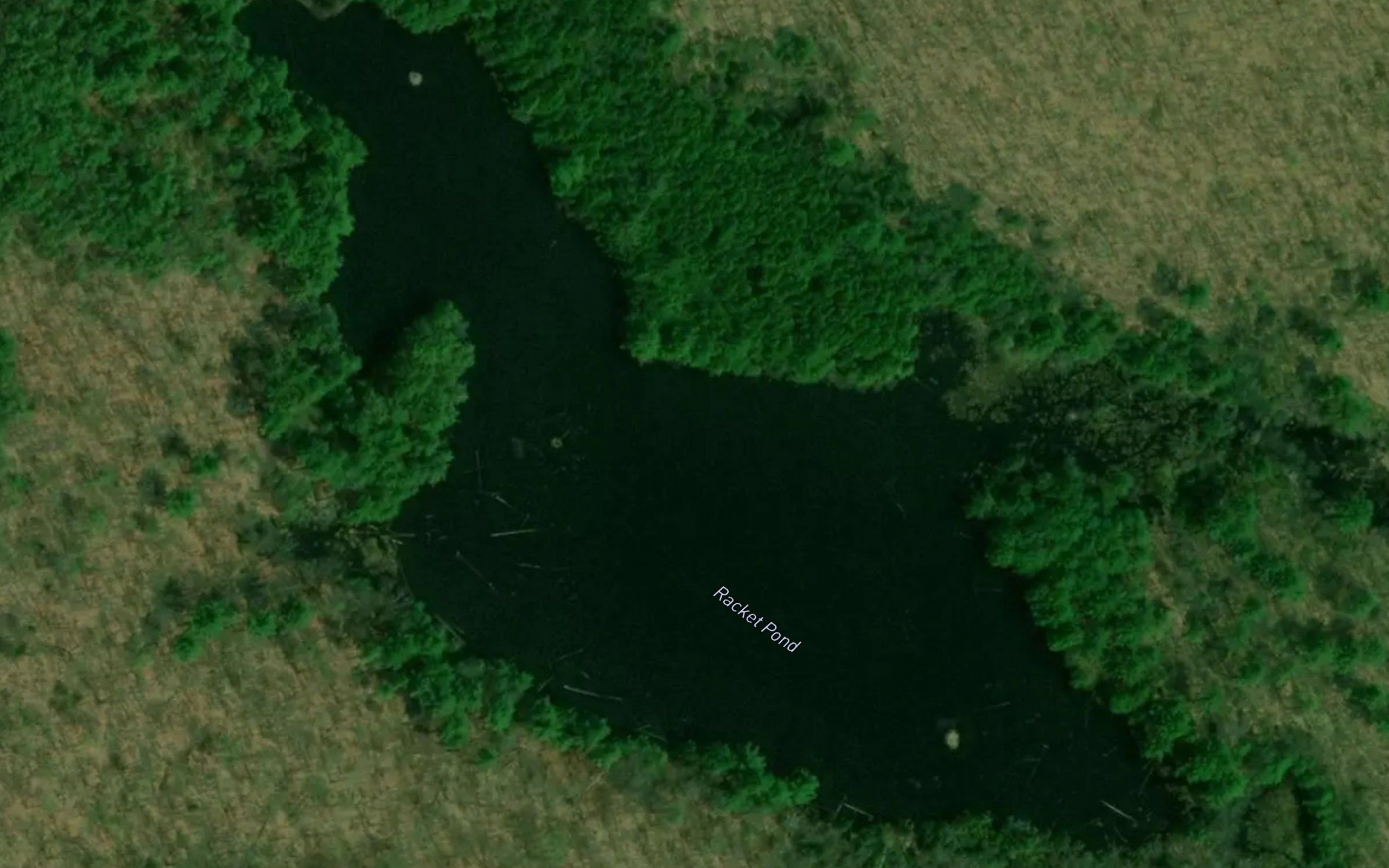 Racket Pond