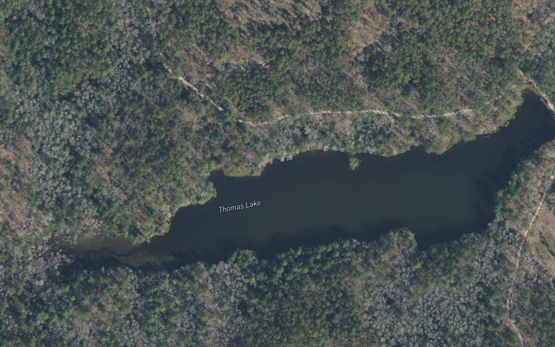 Satellite map of the Thomas Lake