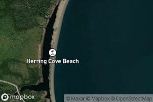 Herring Cove