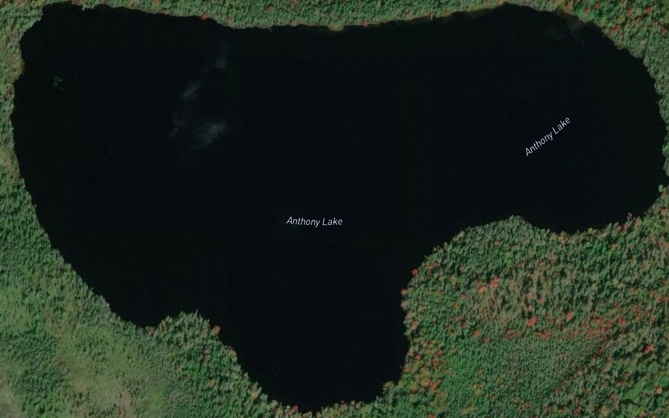 Anthony Lake