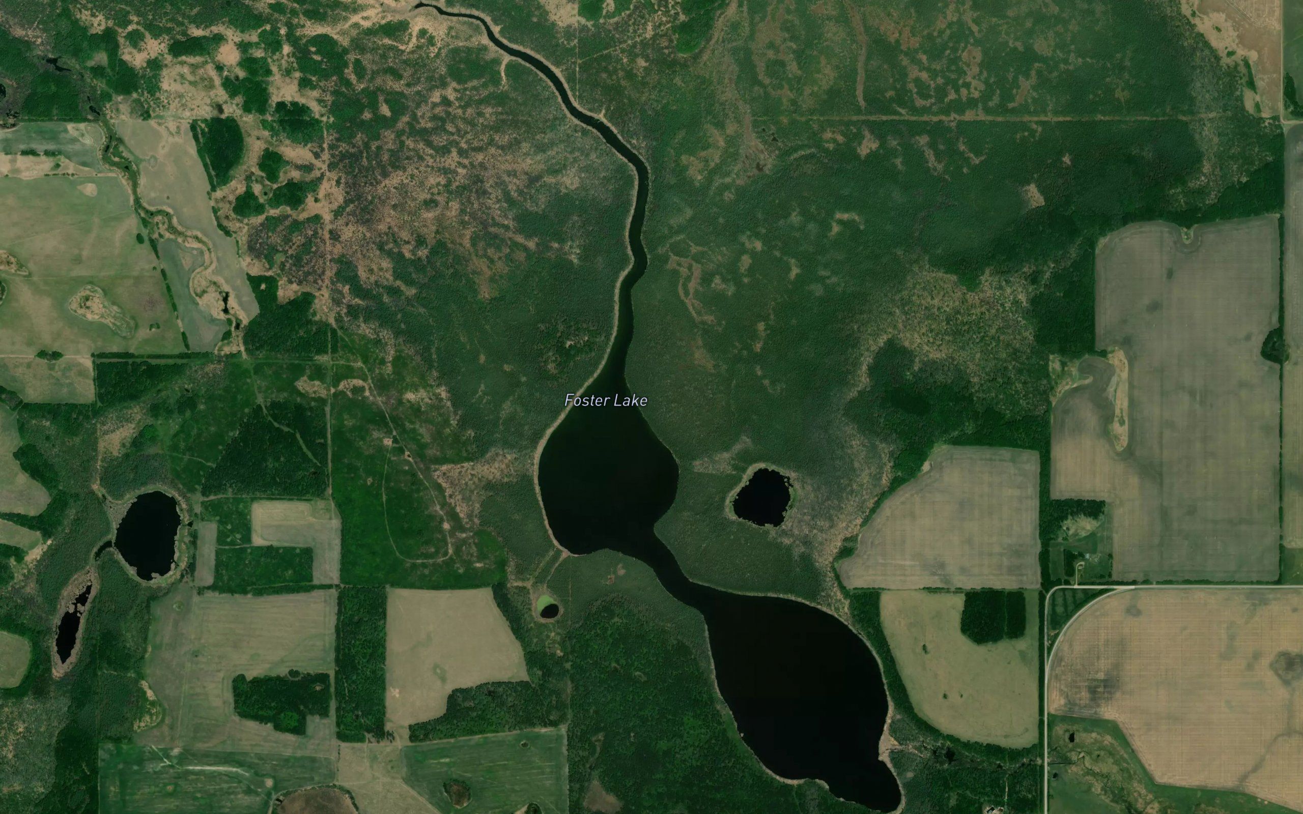 Foster Lake
