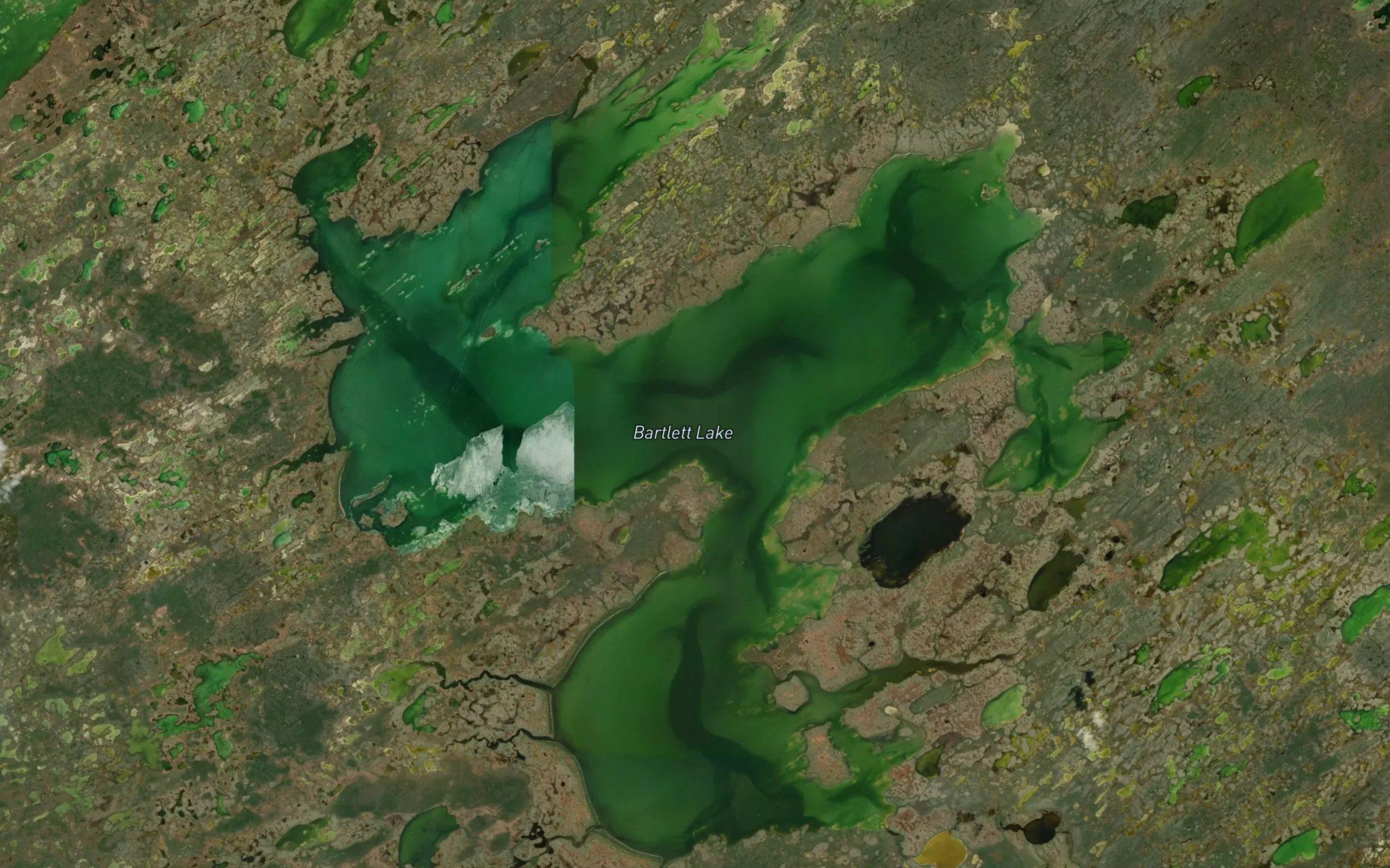 Bartlett Lake