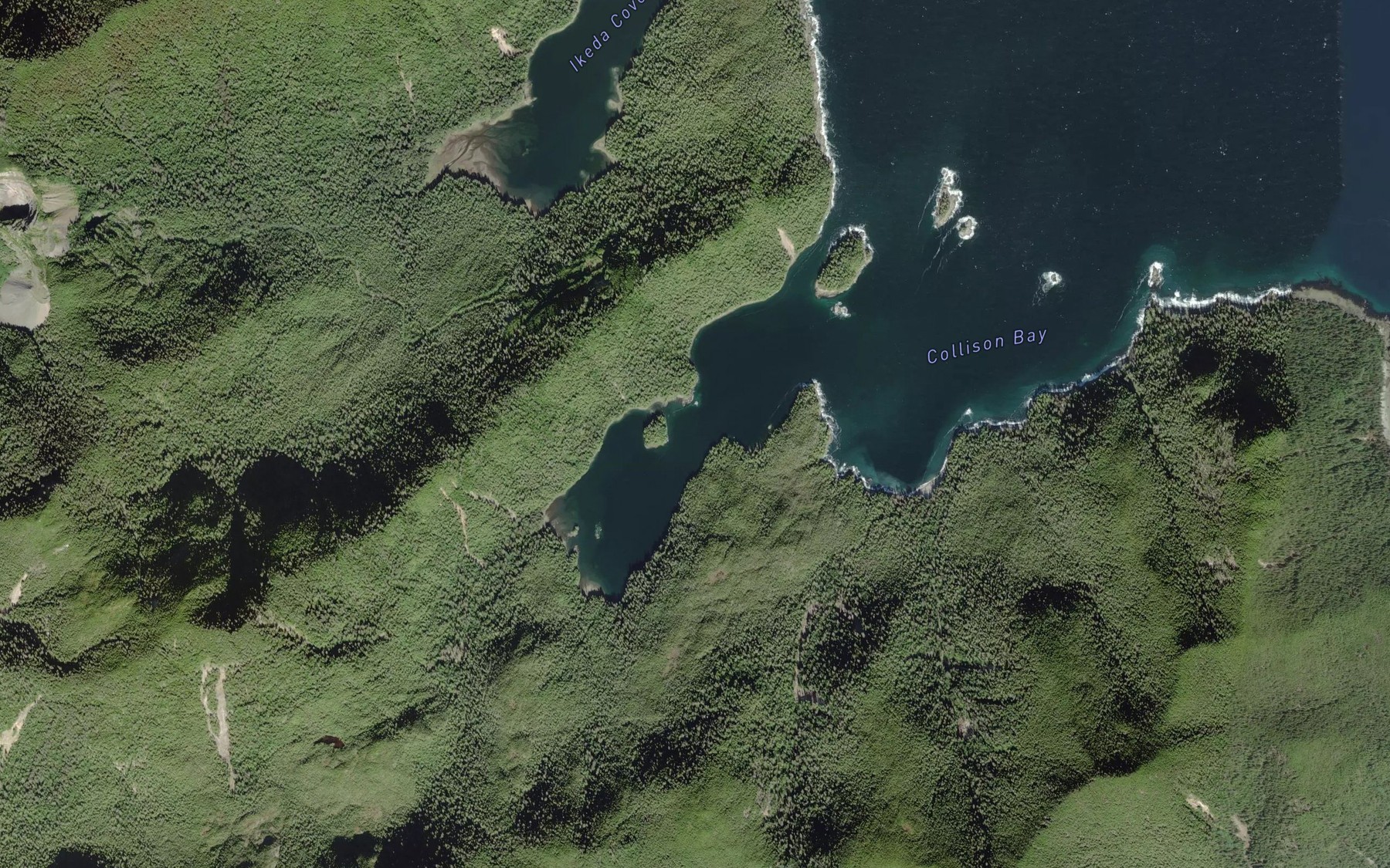 Satellite map of the Collison Bay