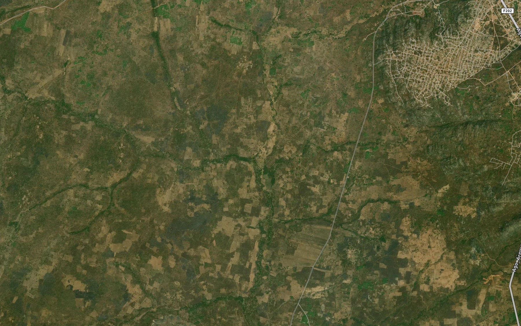 Satellite map of the River Fori