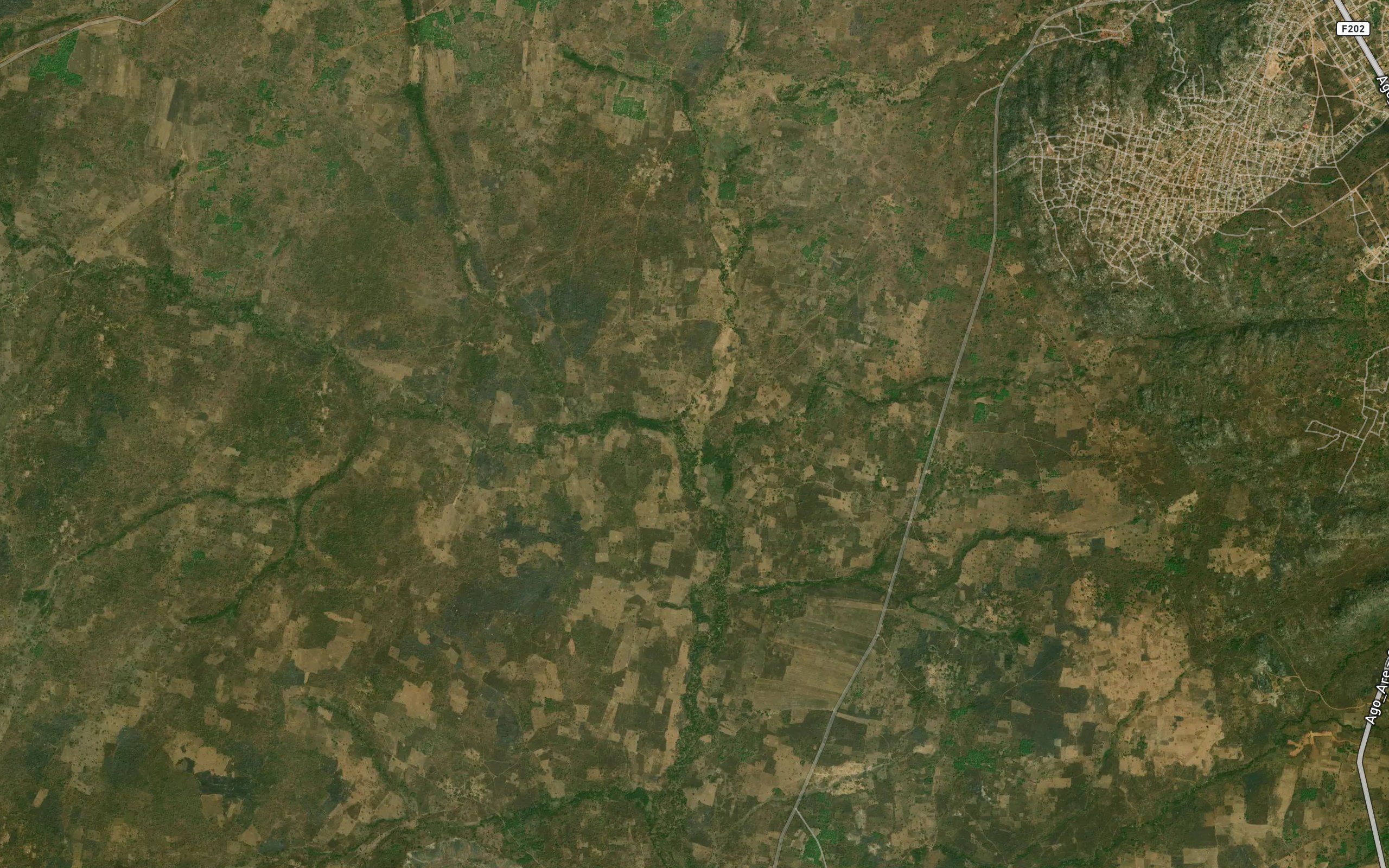 River Fori