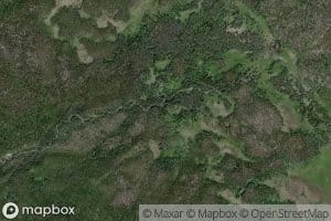 Grizzly Creek