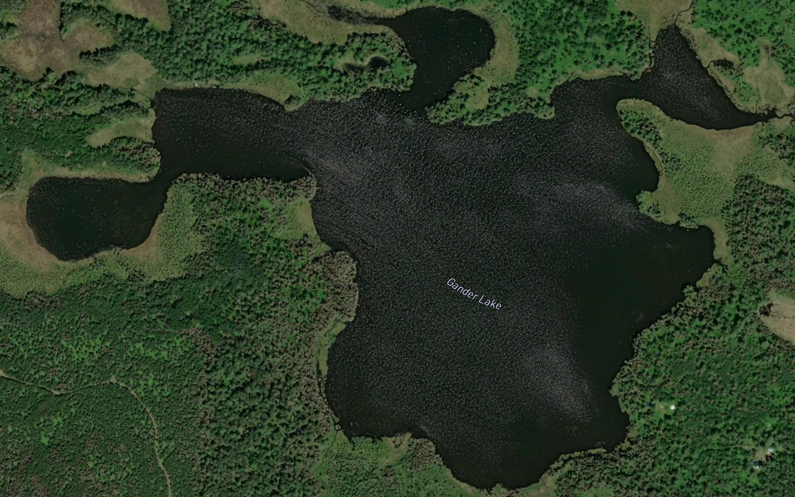 Gander Lake