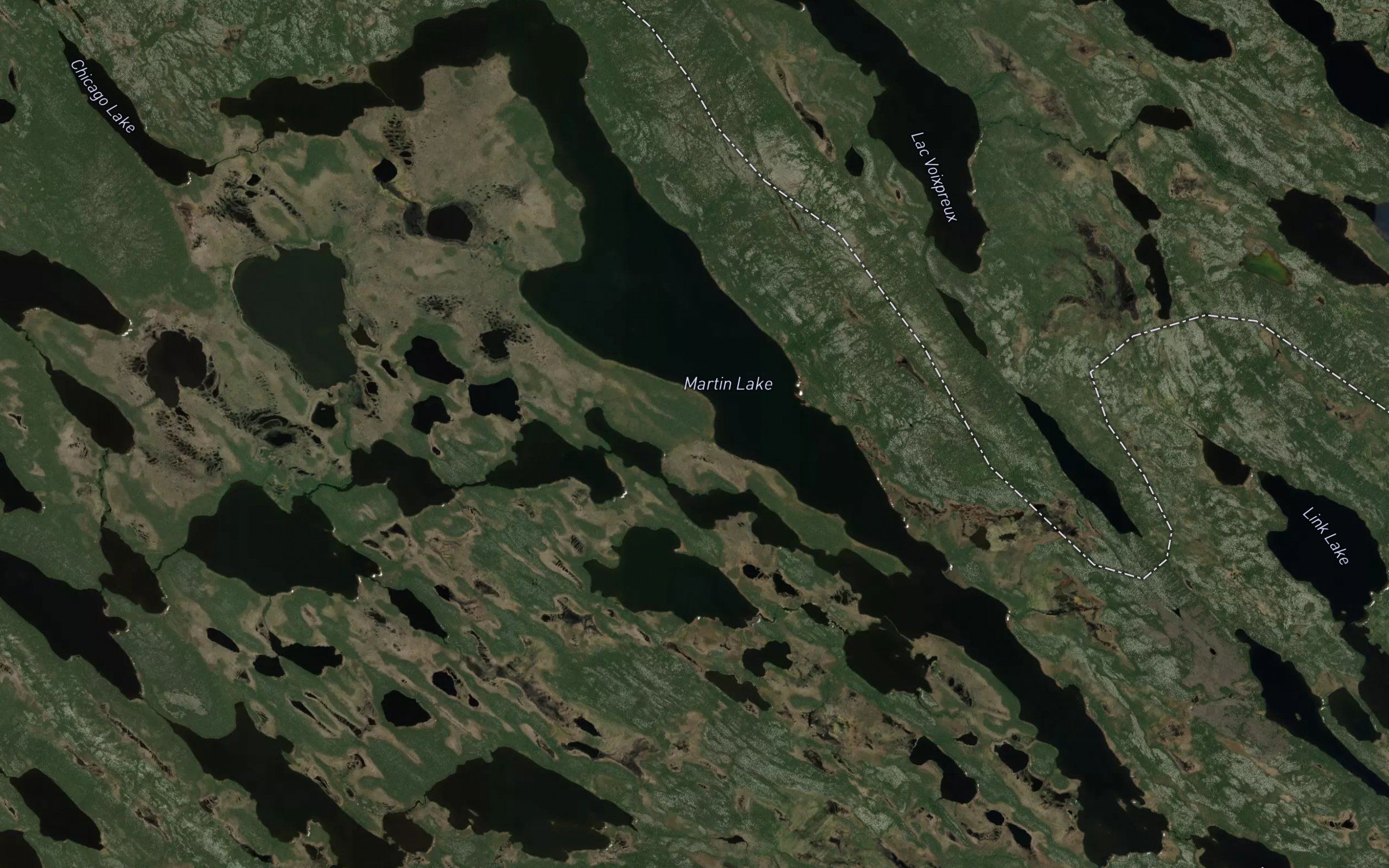 Martin Lake