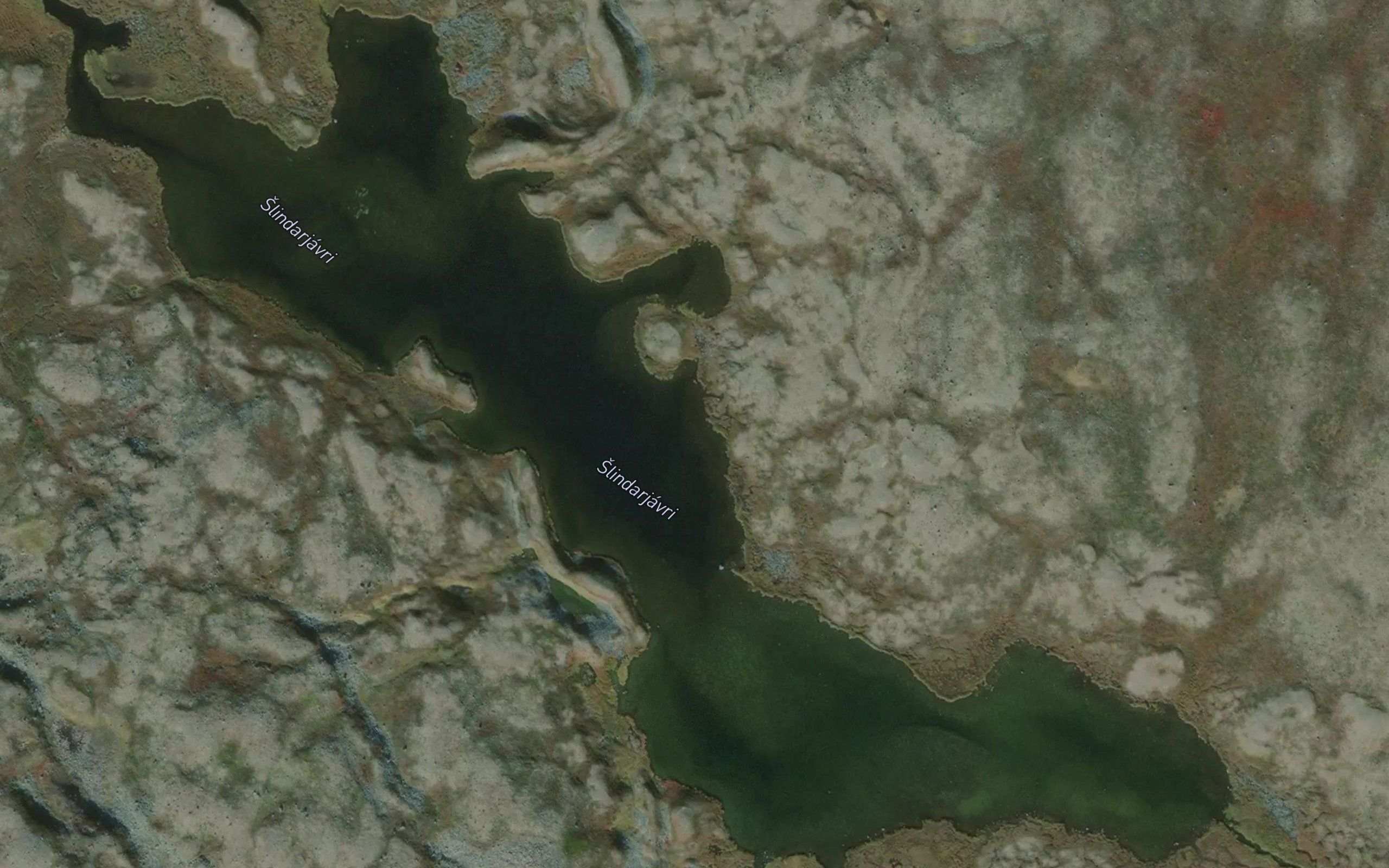 Slindarjavri
