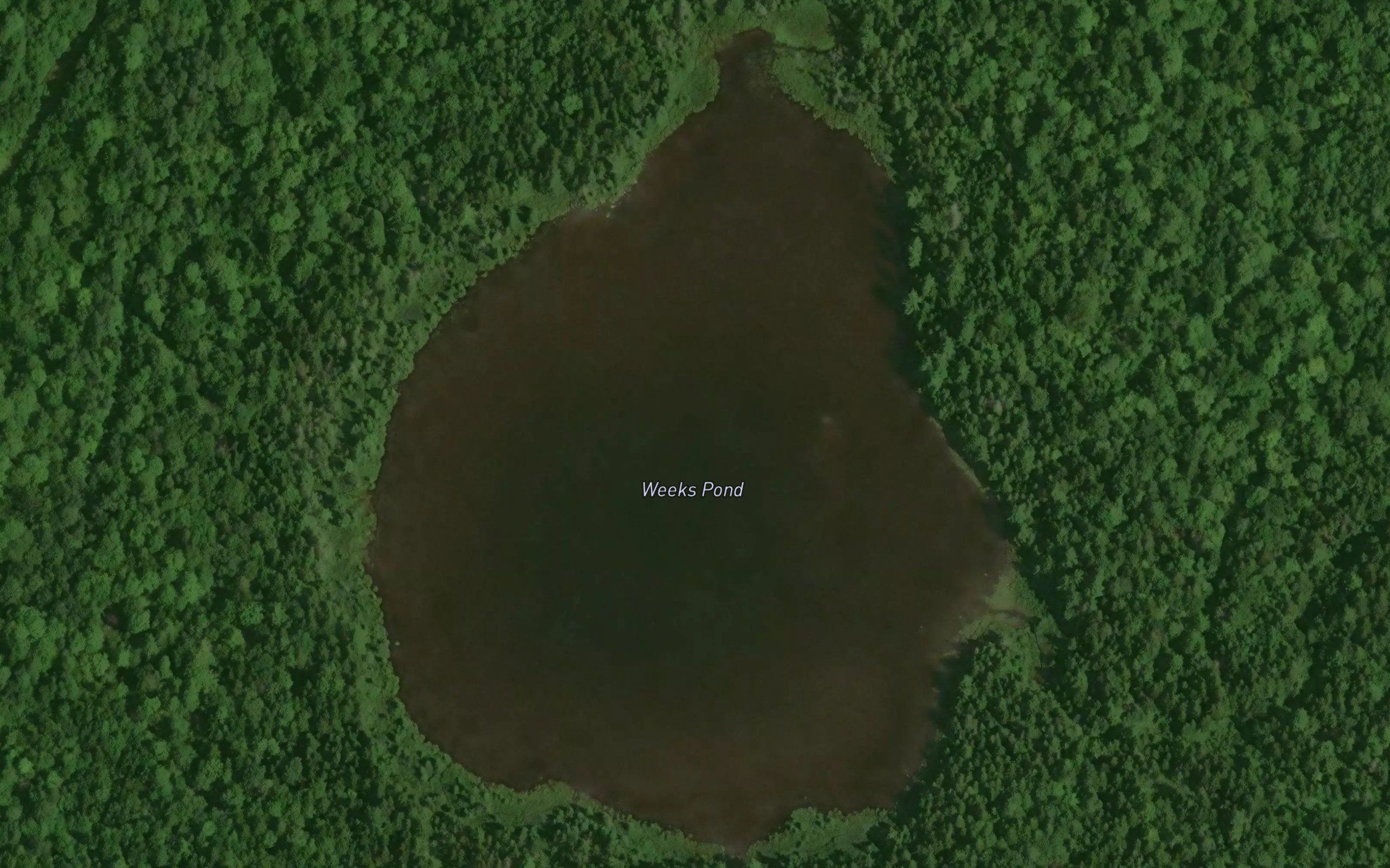 Weeks Pond