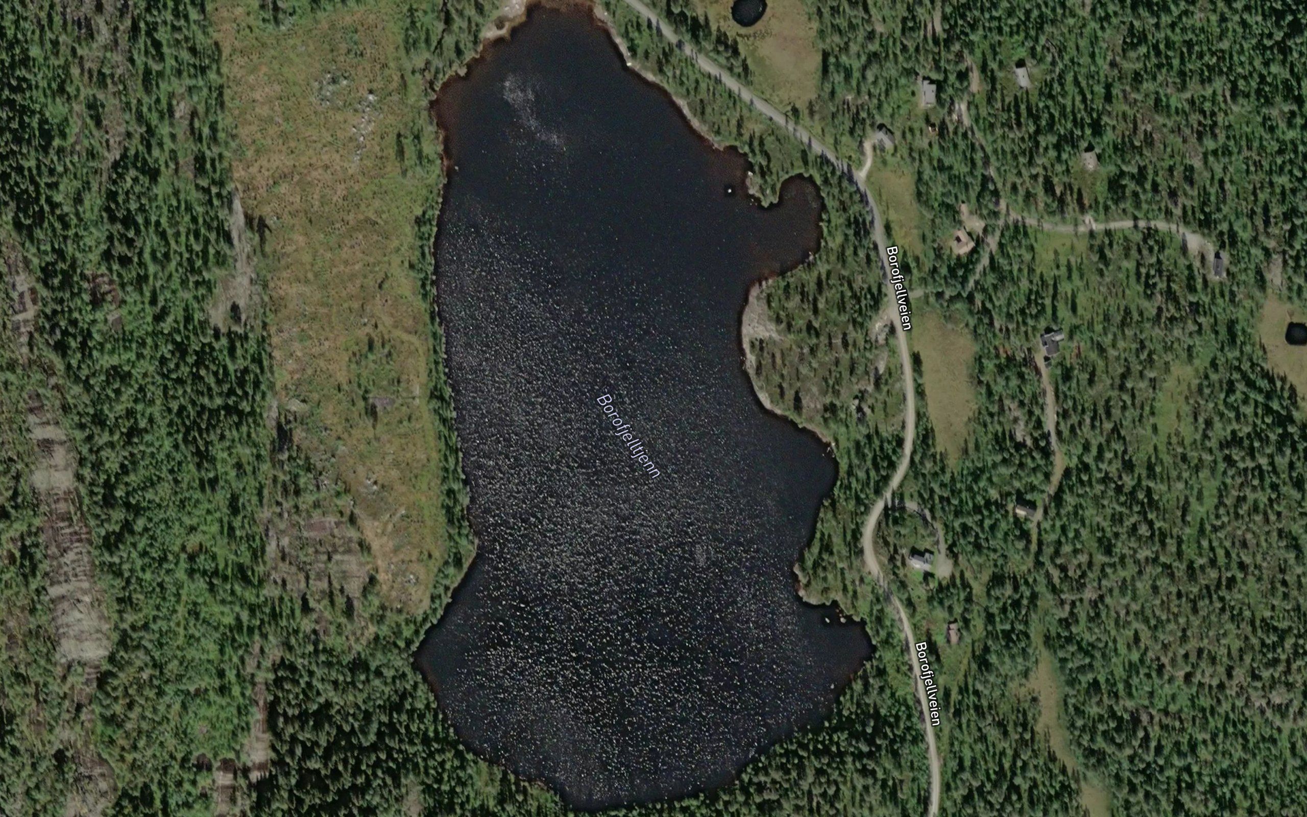 Borofjelltjern