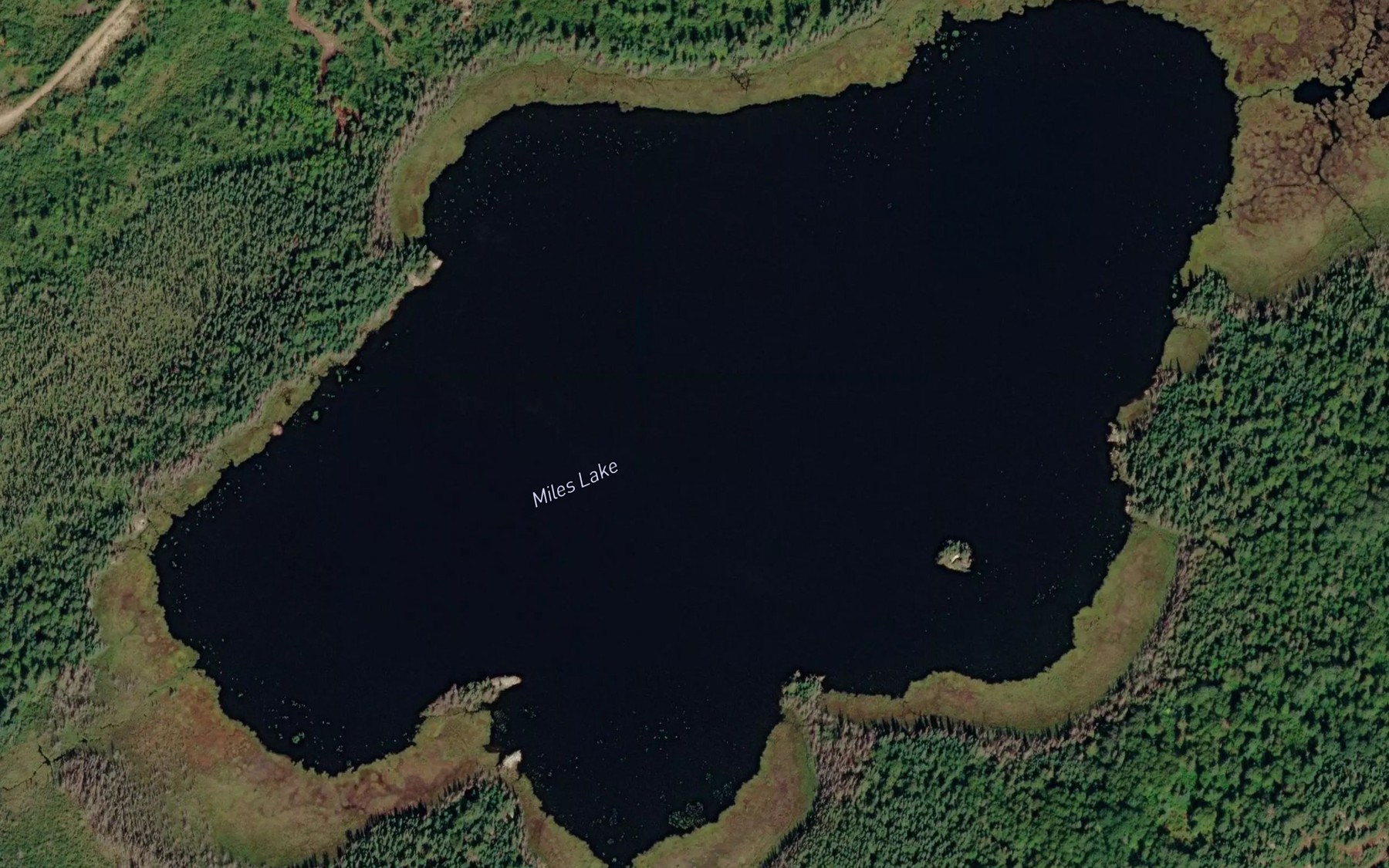 Satellite map of the Miles Lake