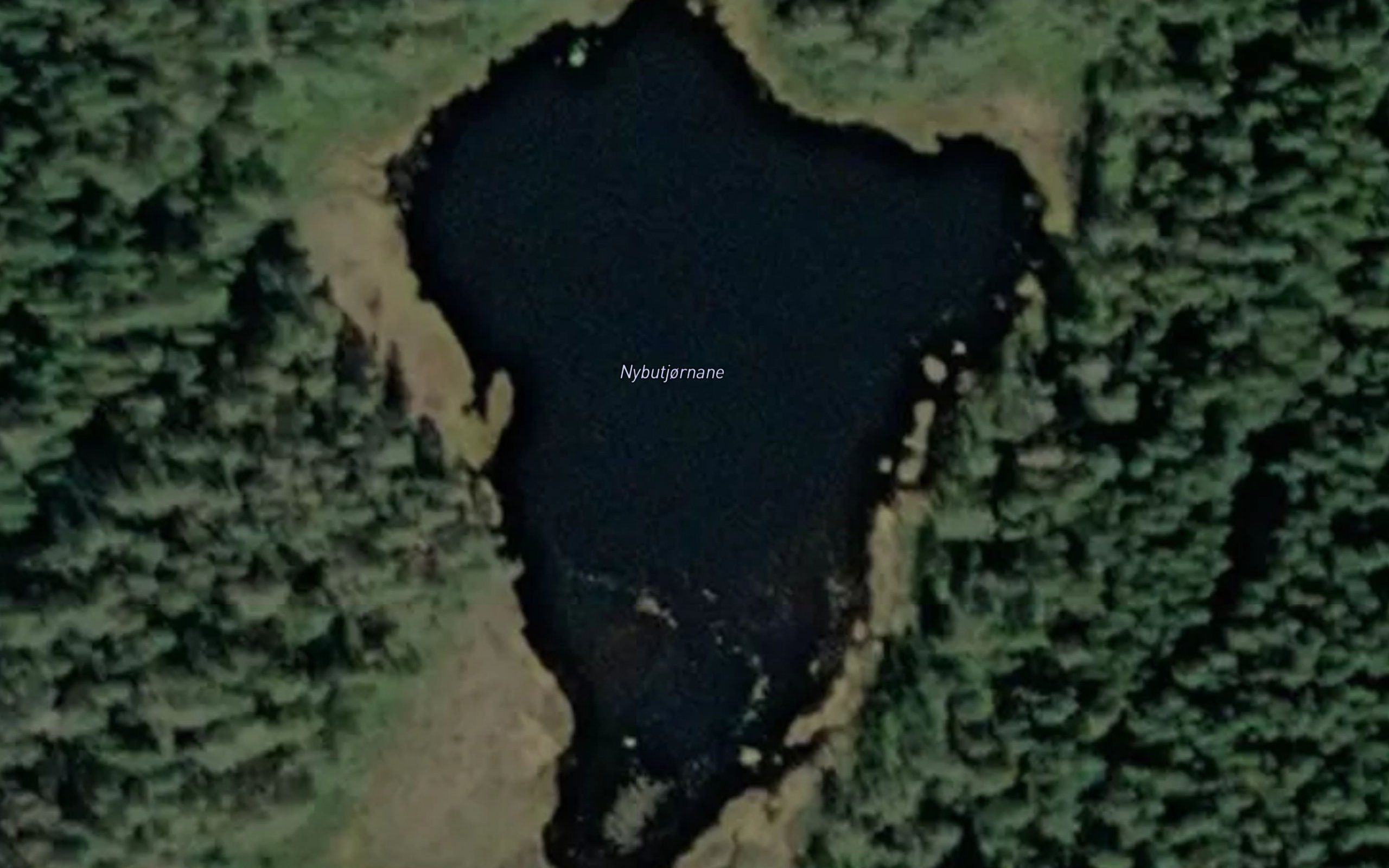 Nybutjornane