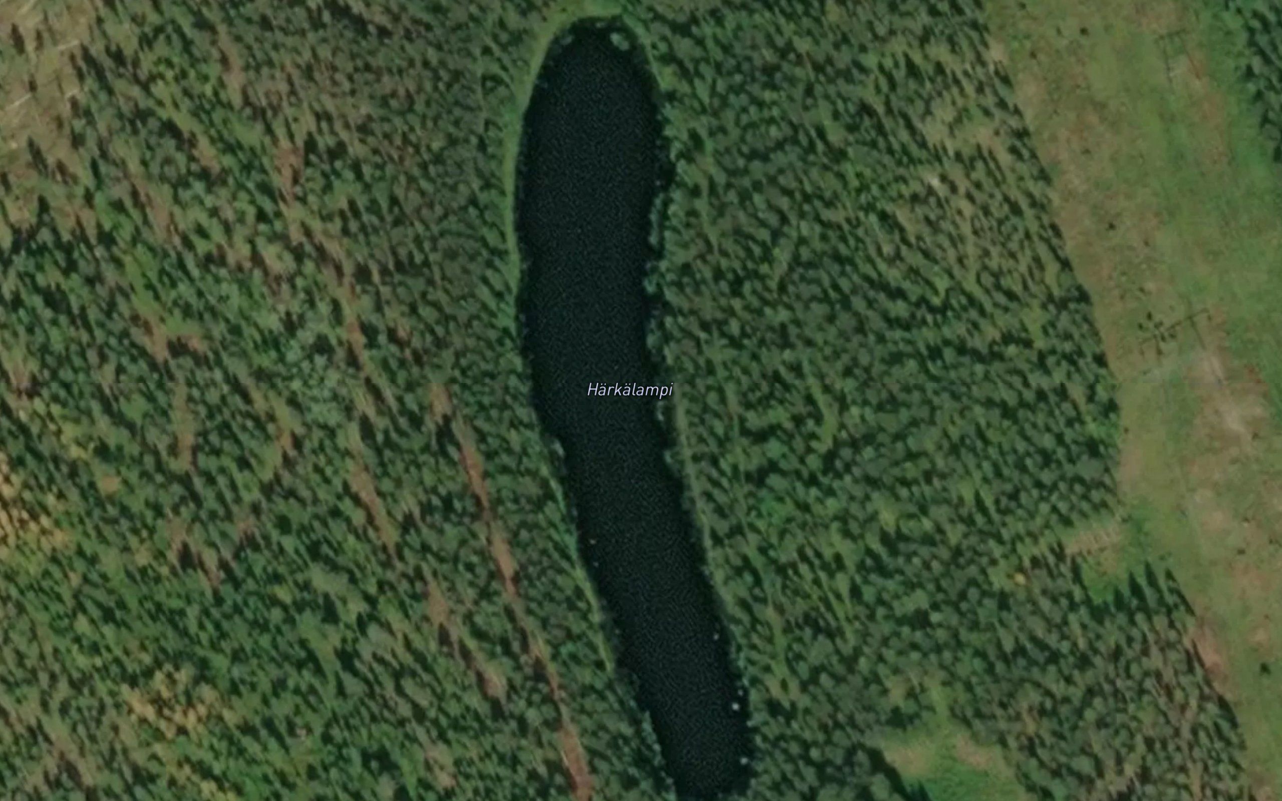 Harkalampi