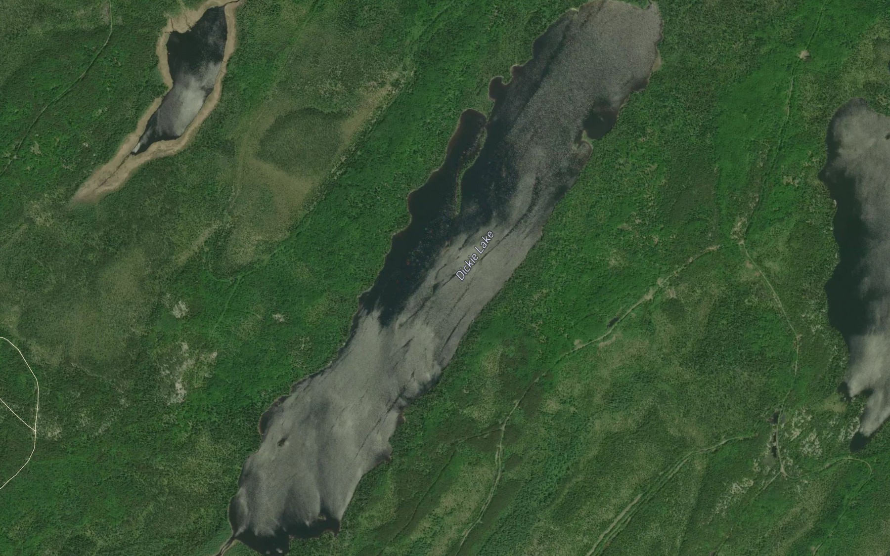 Satellite map of the Dickie Lake