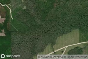 Double Branch