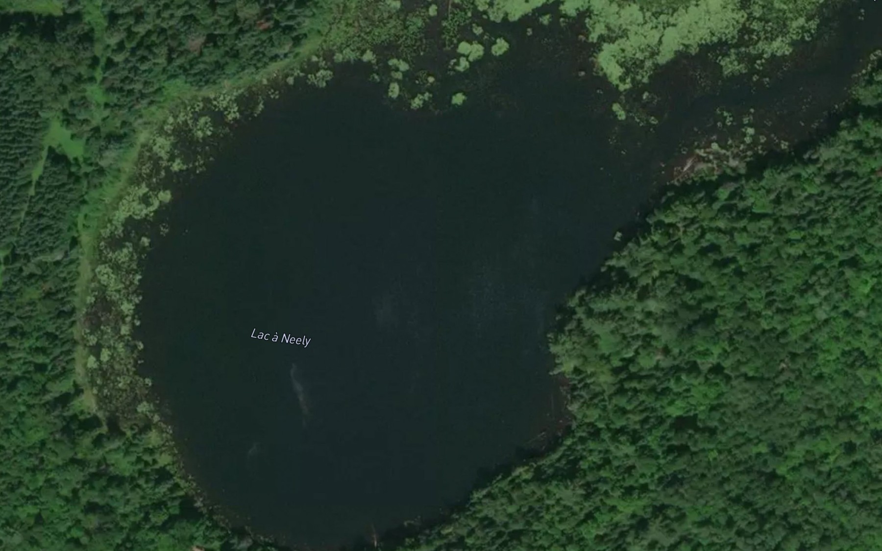 Satellite map of the Lac a Neely
