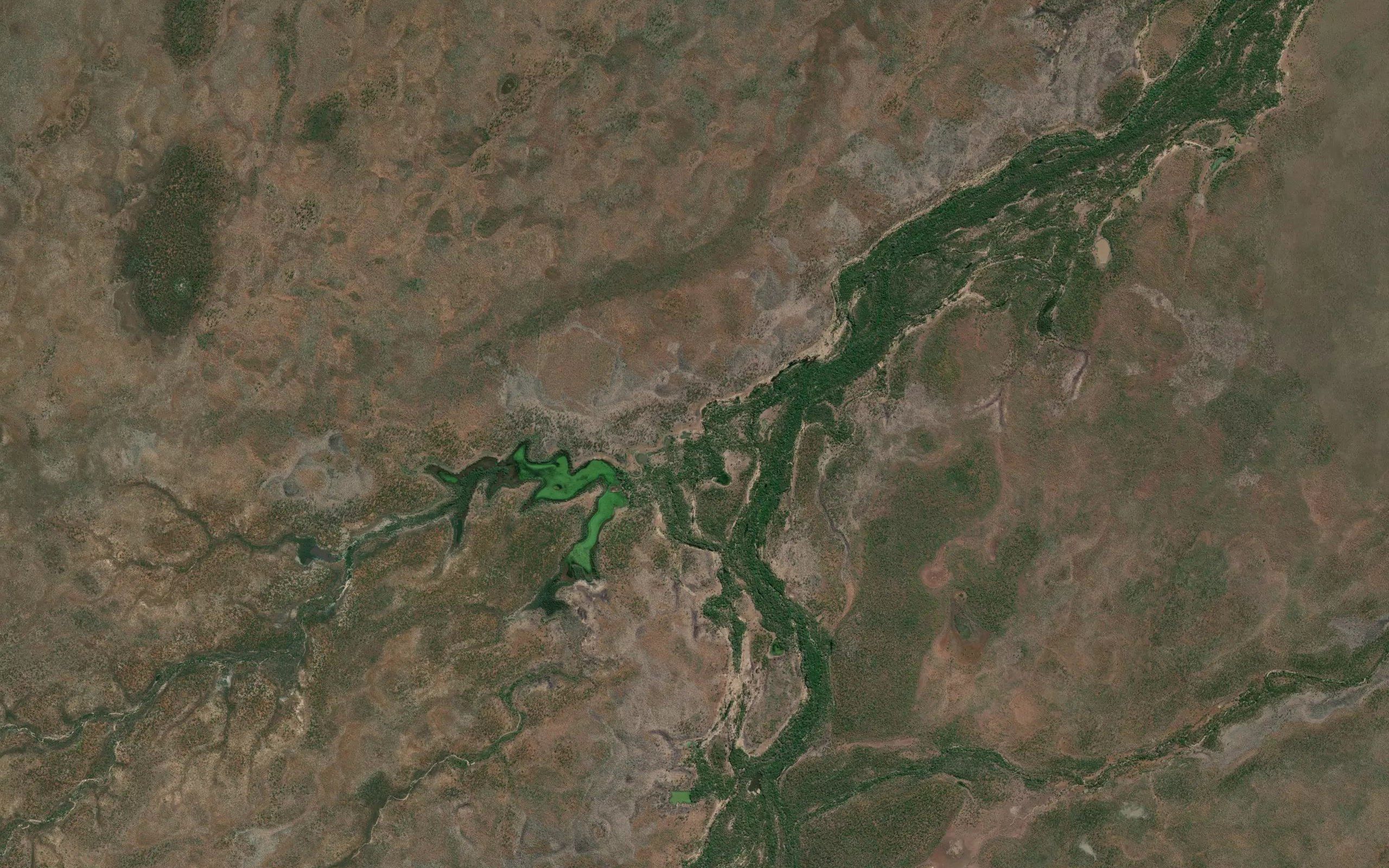 Turpentine Creek