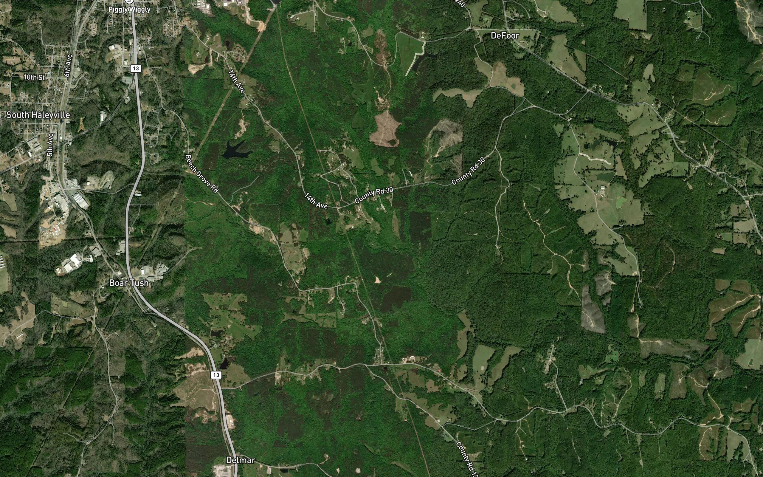 Mineral Springs Branch