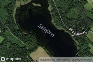 Siilinjarvi