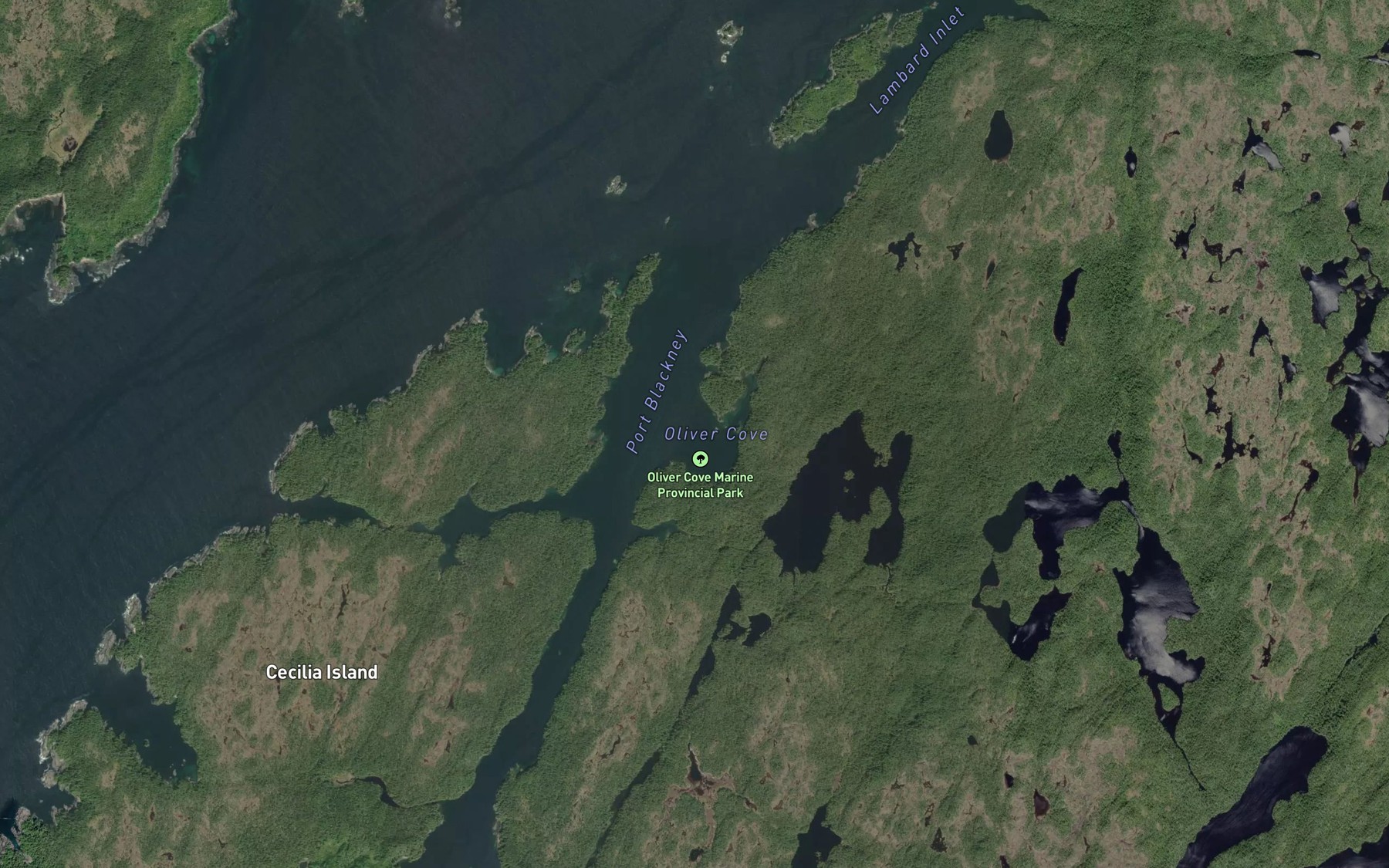 Satellite map of the Oliver Cove