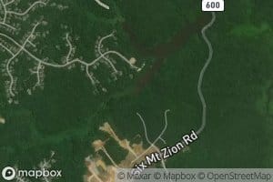 Bird Swamp
