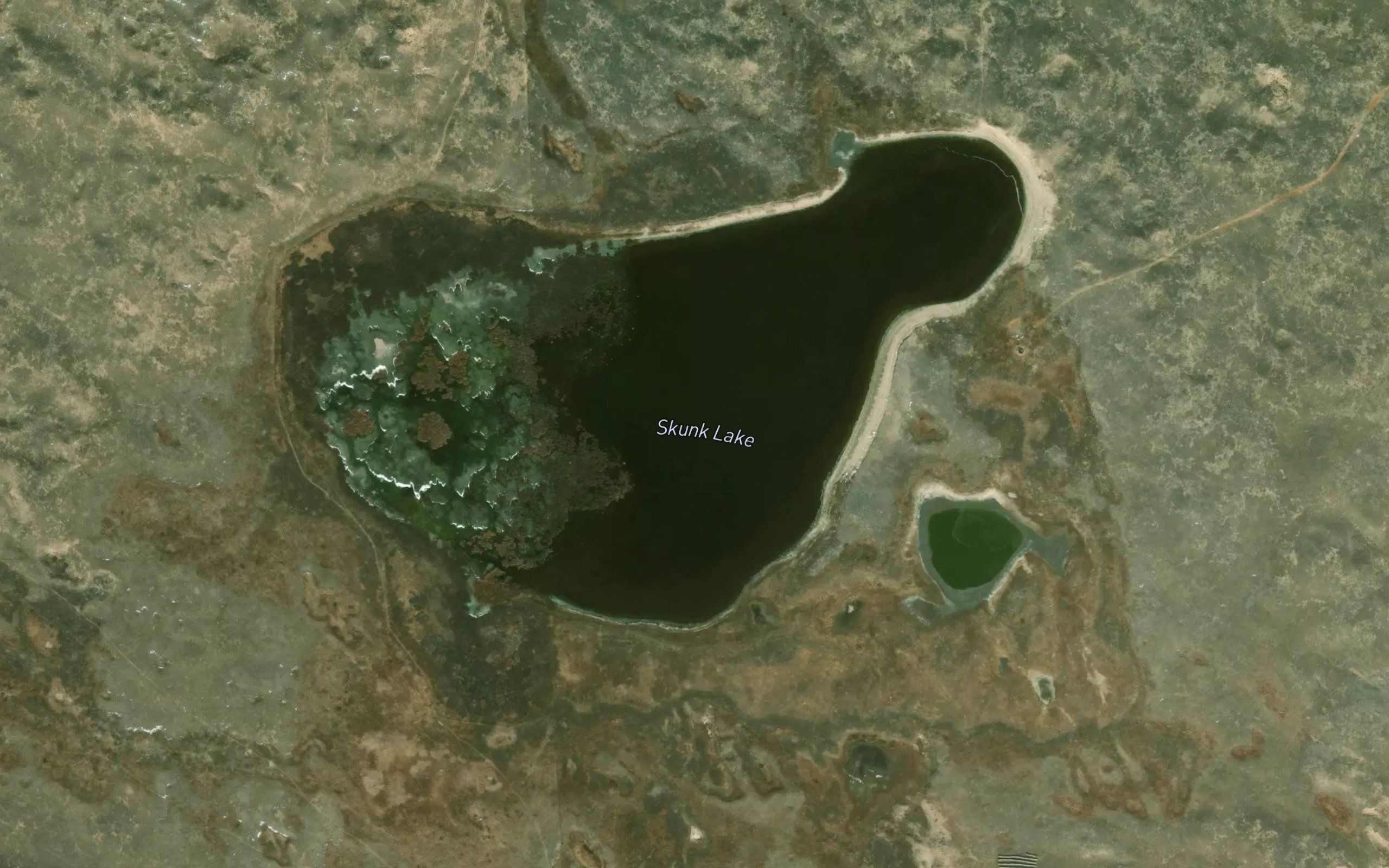 Skunk Lake